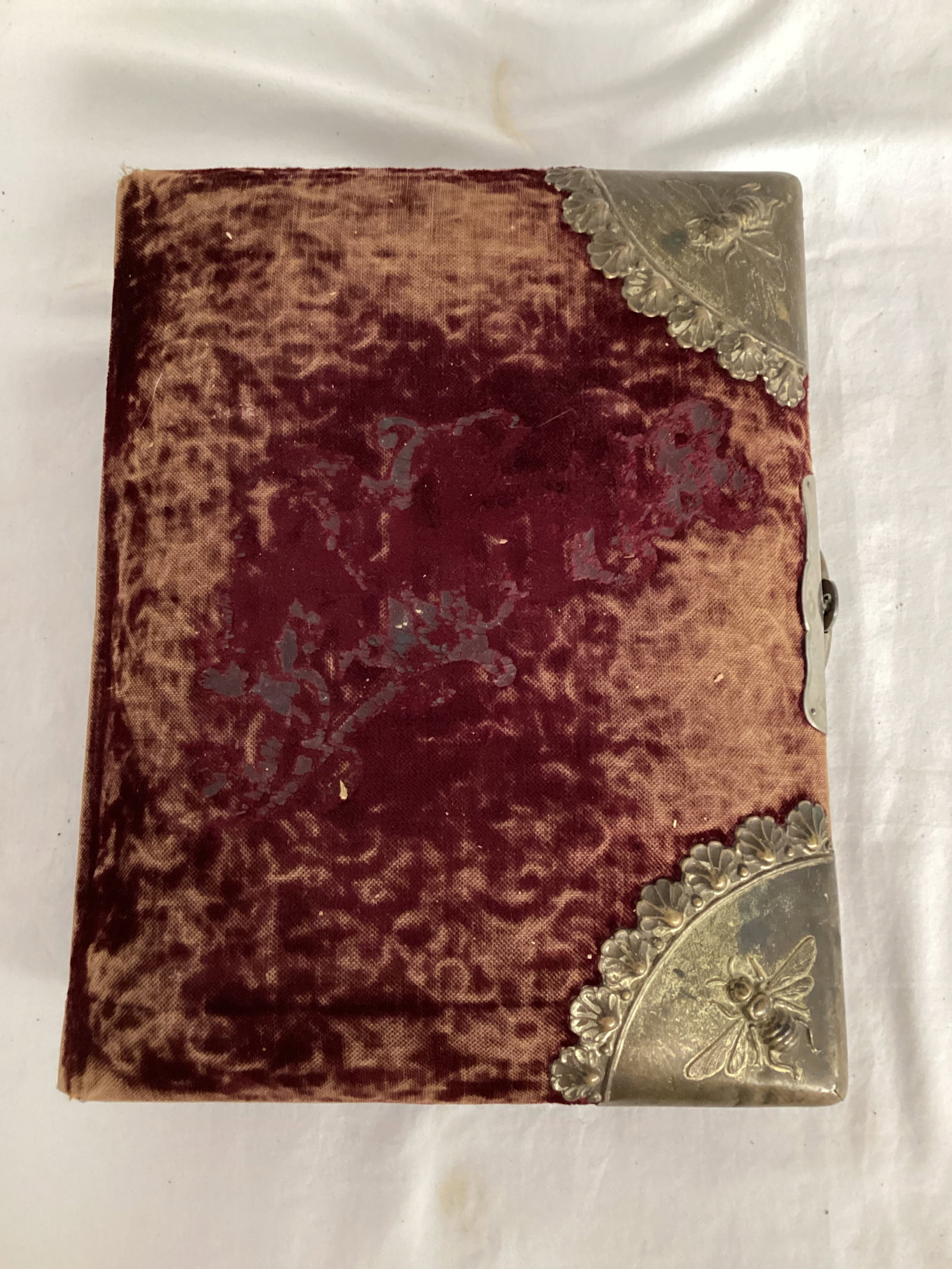 Antique Photo Album with Portraits: cover worn