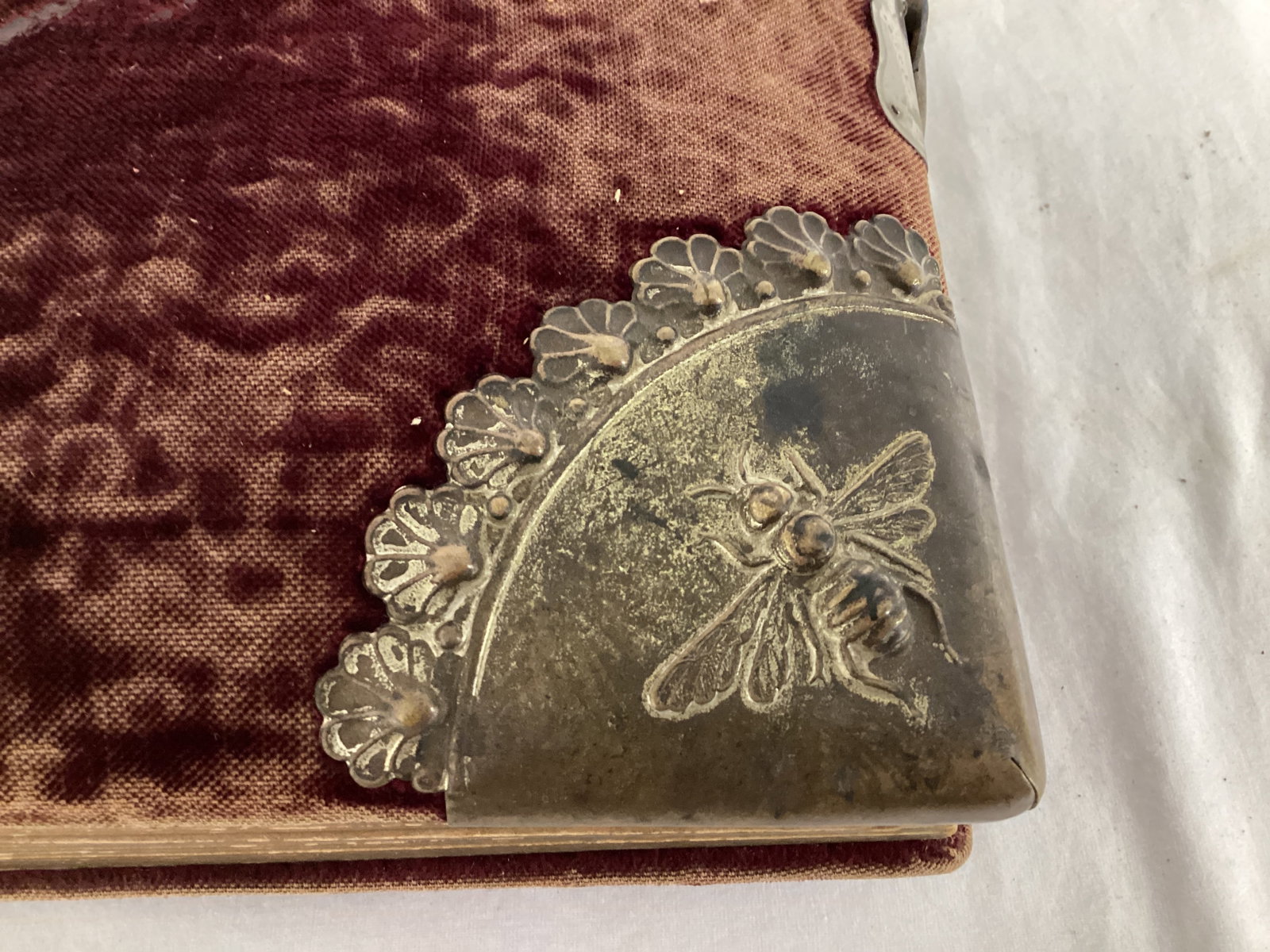 Antique Photo Album with Portraits - 3
