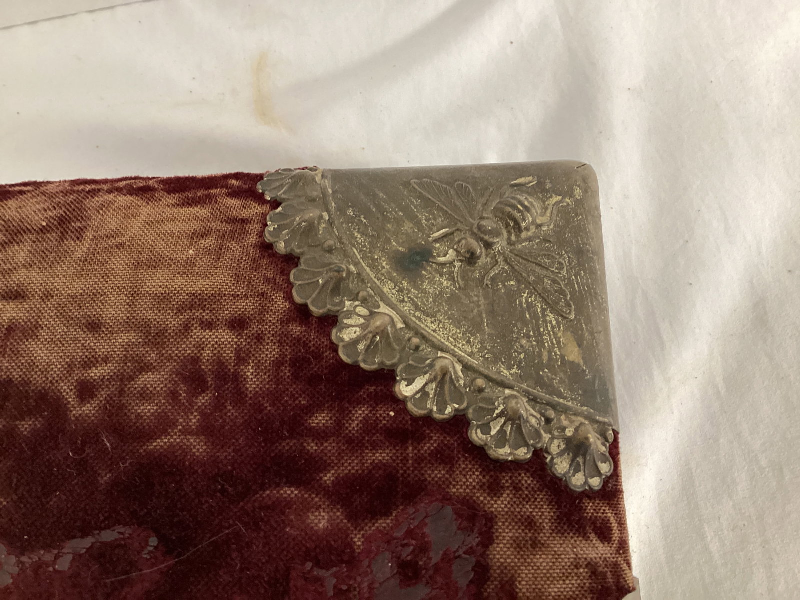 Antique Photo Album with Portraits - 4
