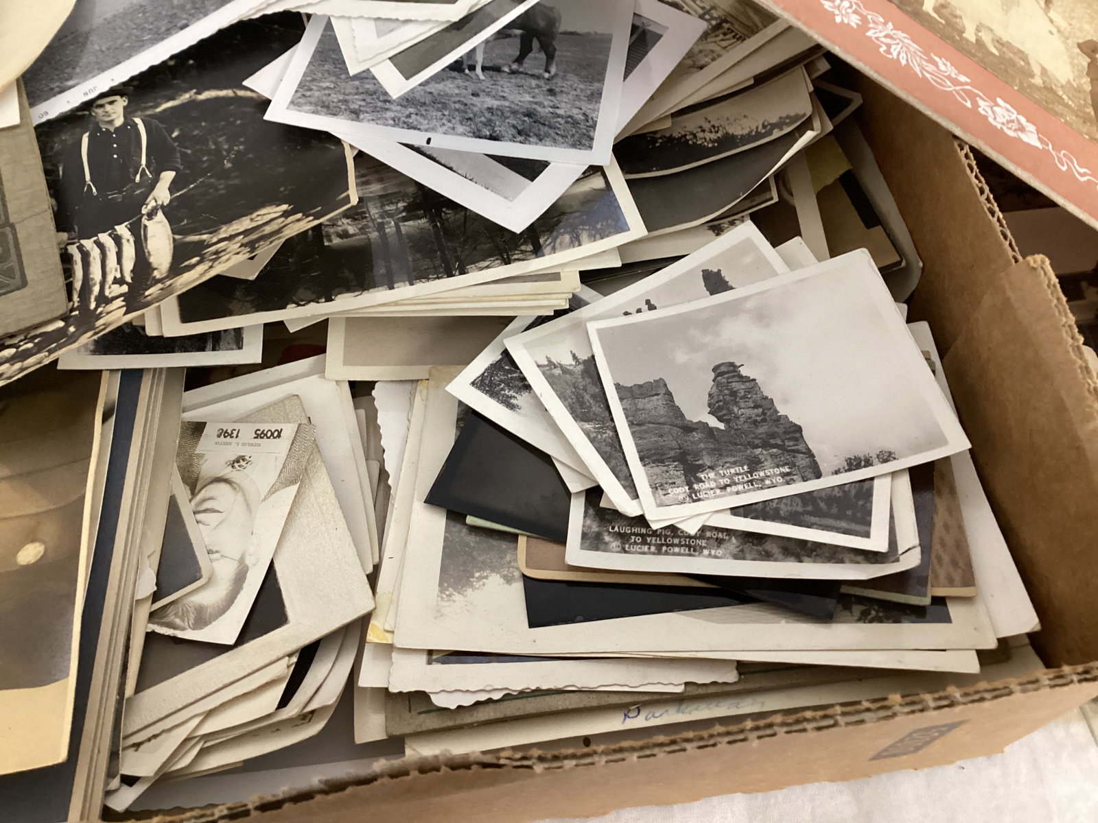 Collection of Antique and Vintage Photos - 7