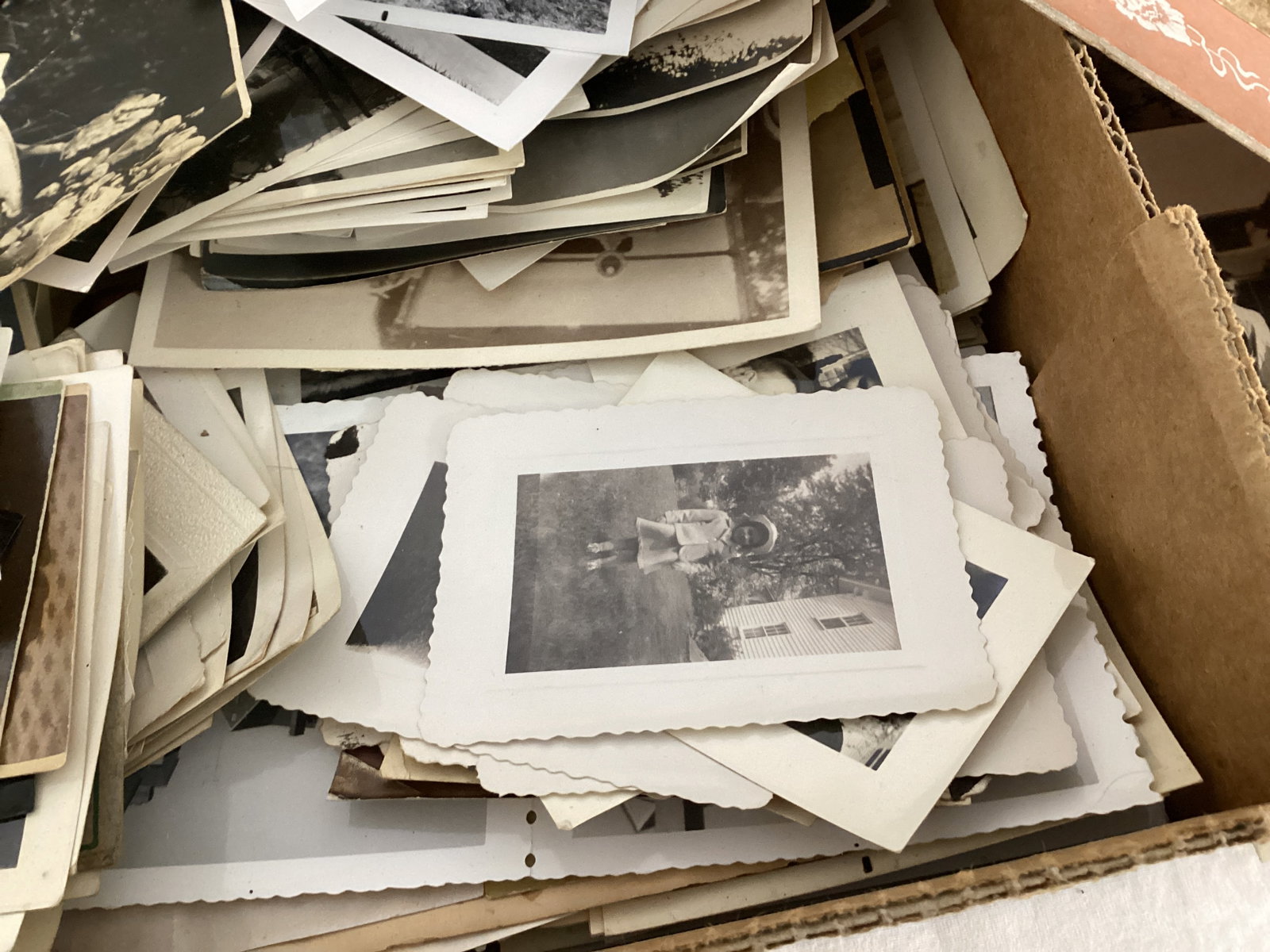 Collection of Antique and Vintage Photos - 9
