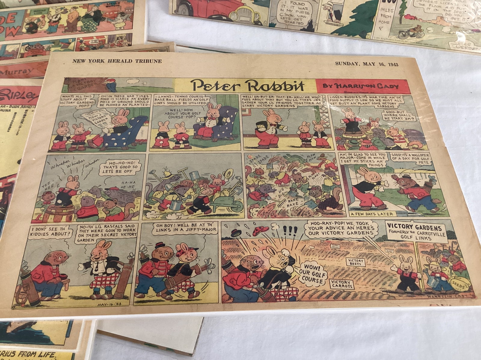Golf Themed Comic Strips and Cartoons - 4