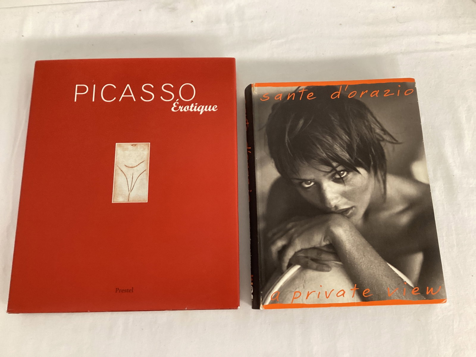 Picasso Erotique and Sante D'Orazio A Private View Books: .