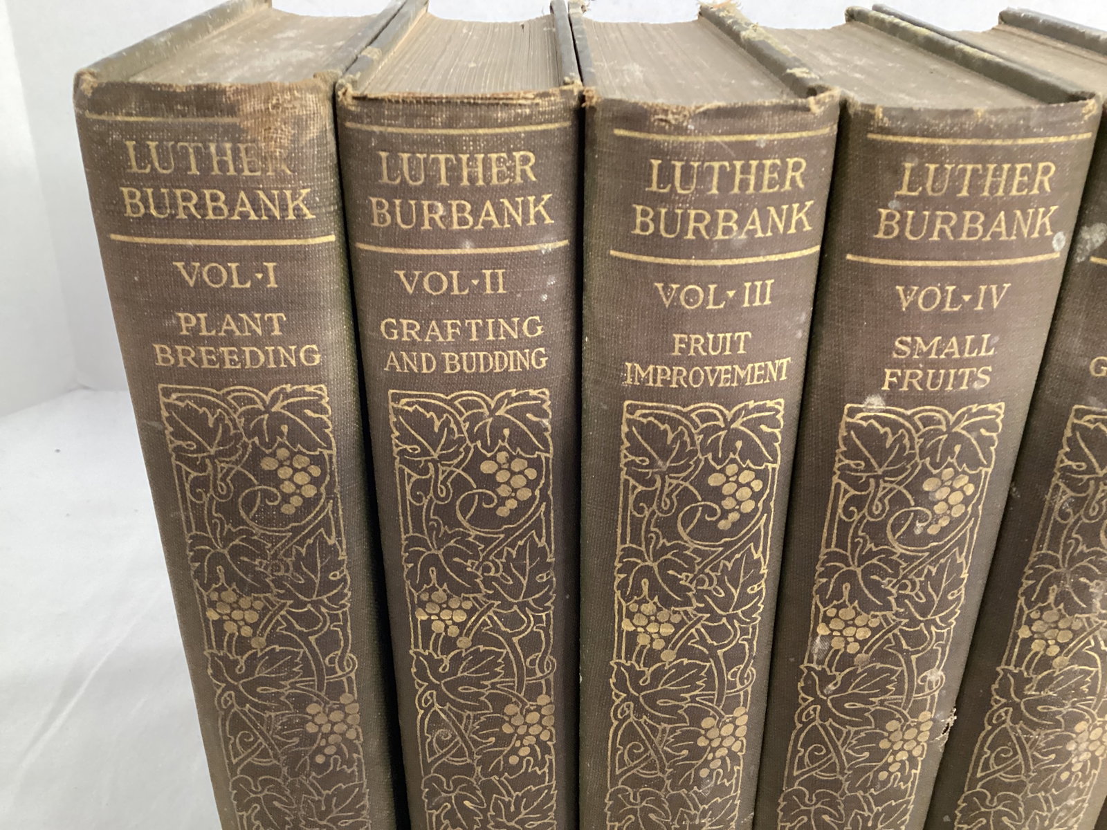 Eight Volume Set of How Plants are Trained to Work for Man by Luther Burbank - 2