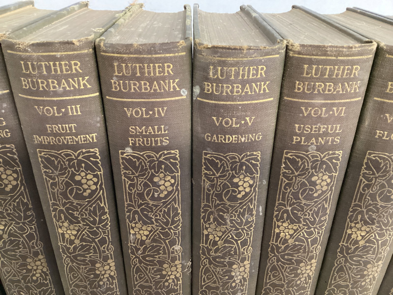 Eight Volume Set of How Plants are Trained to Work for Man by Luther Burbank - 3