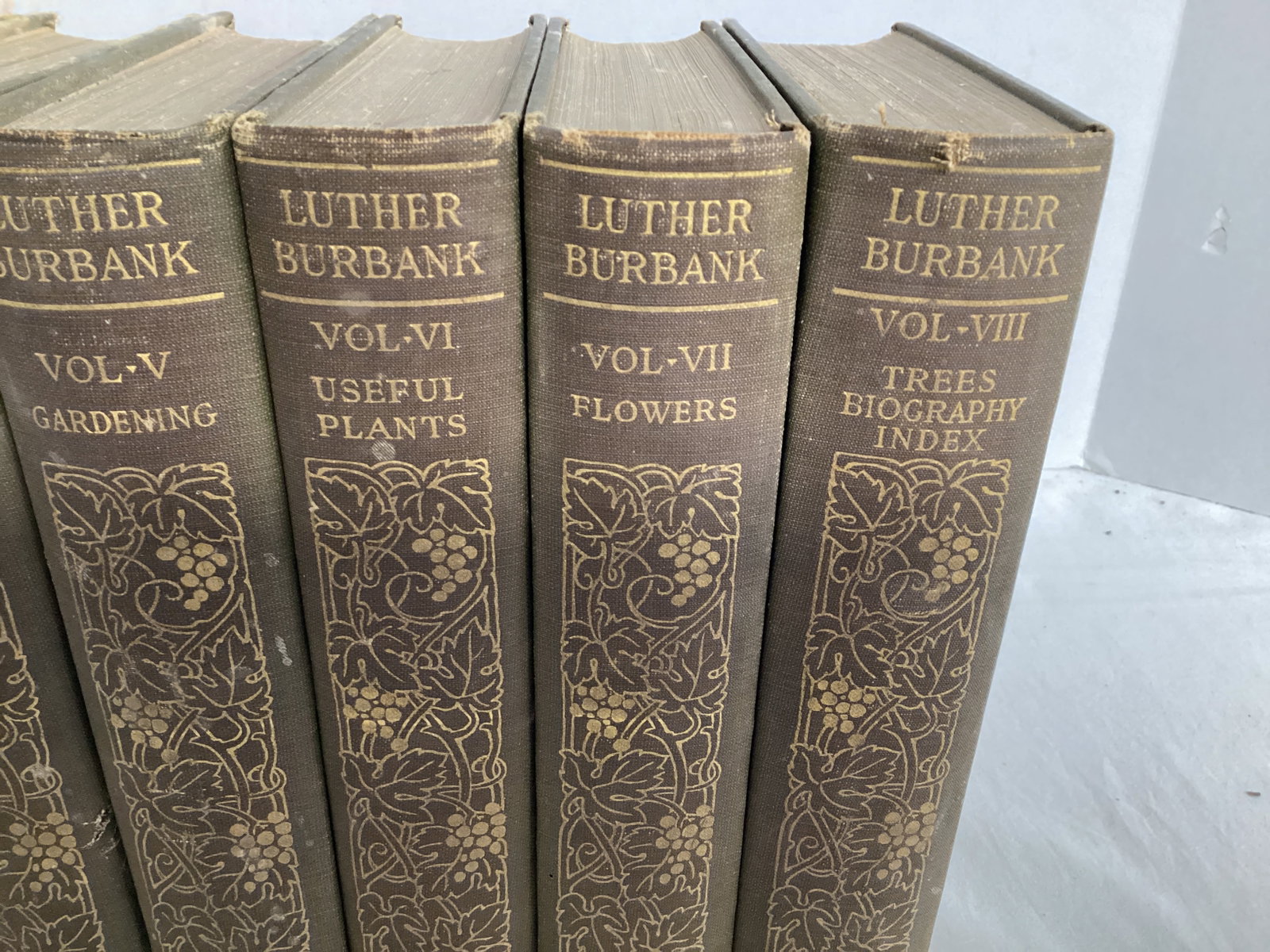 Eight Volume Set of How Plants are Trained to Work for Man by Luther Burbank - 4