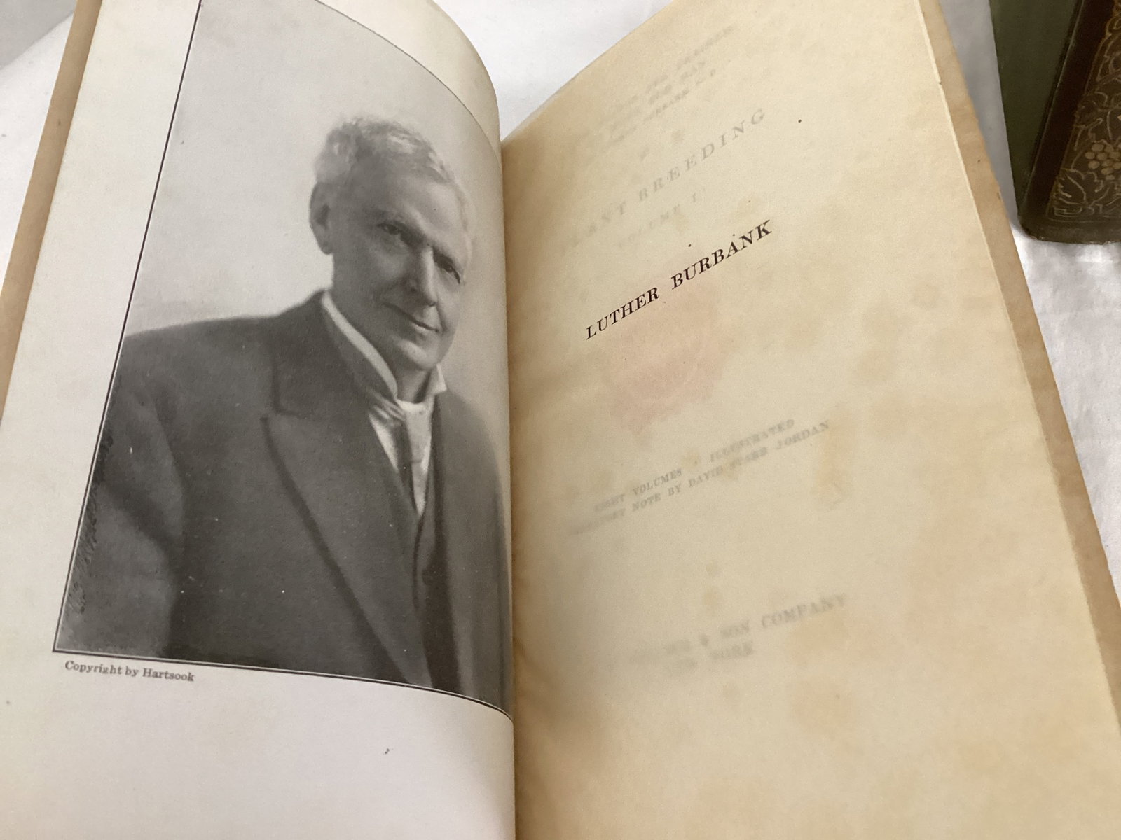 Eight Volume Set of How Plants are Trained to Work for Man by Luther Burbank - 5