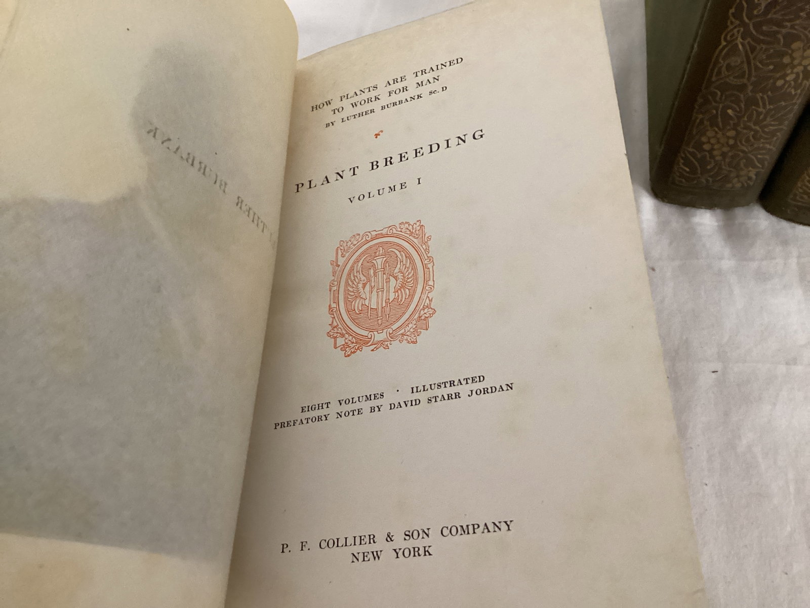 Eight Volume Set of How Plants are Trained to Work for Man by Luther Burbank - 6