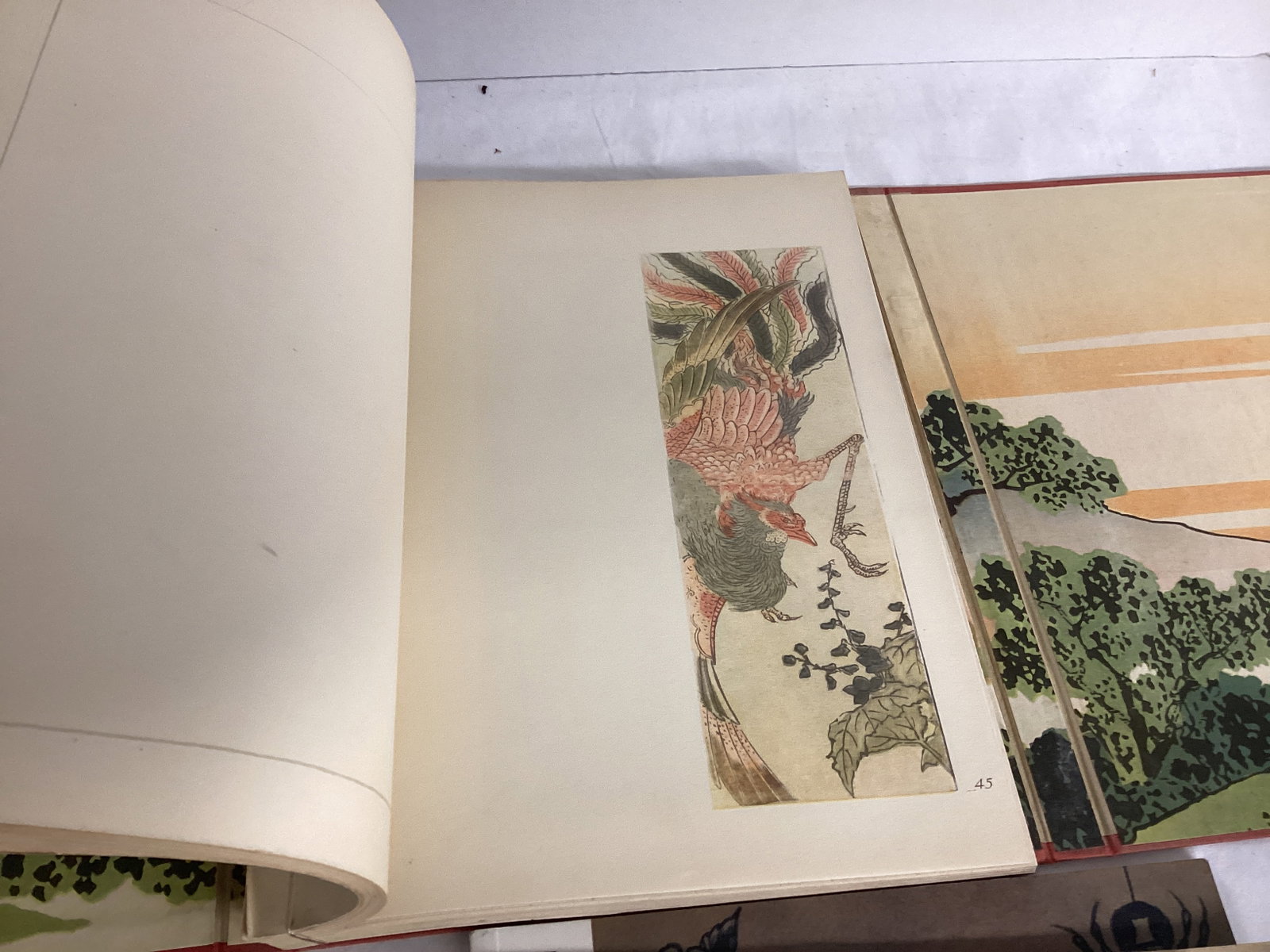 Artists Books - 5