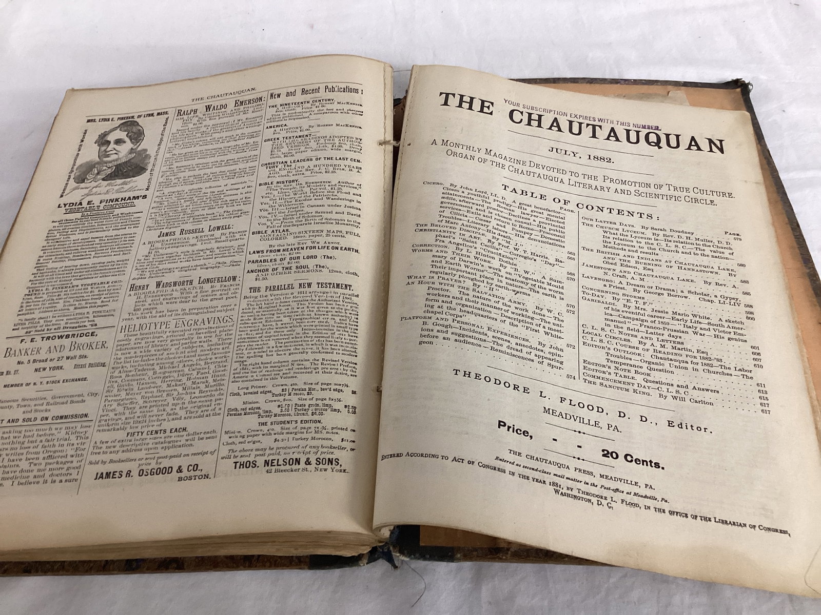 1881 - 1882 The Chautauquan Magazines in a Book - 8