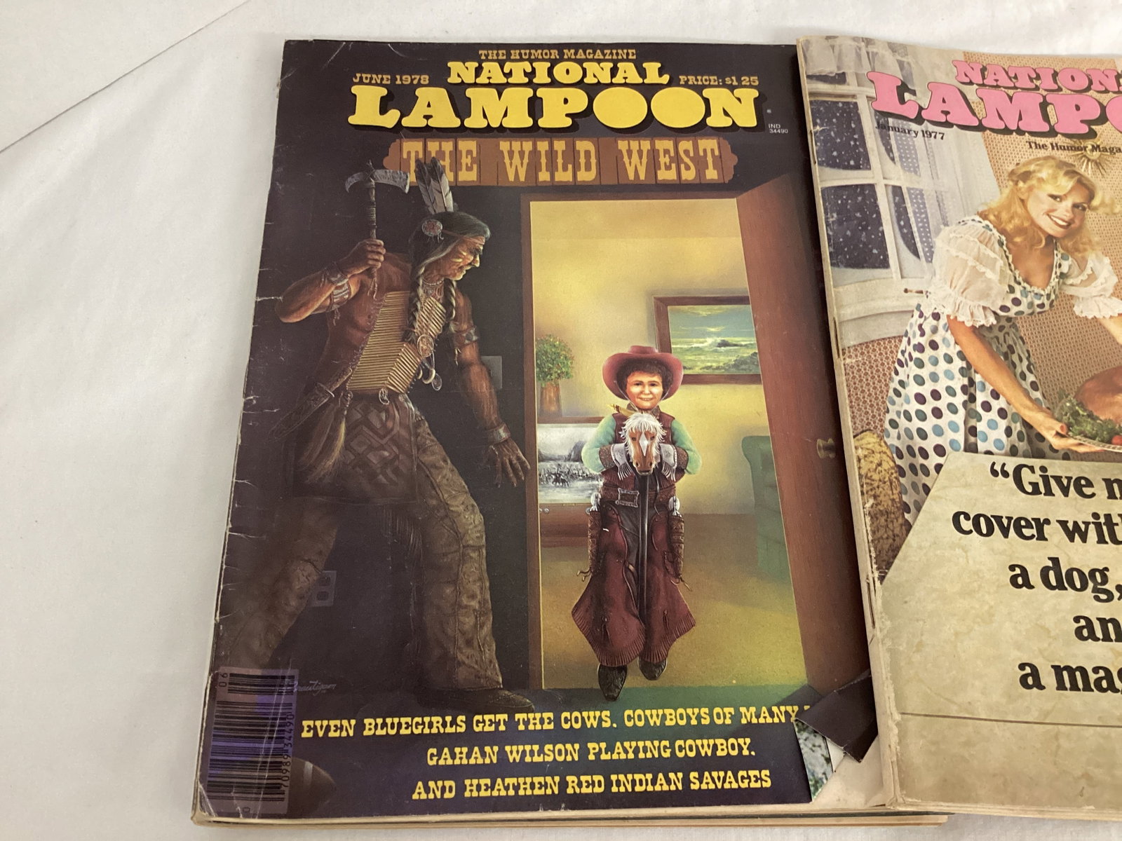 National Lampoon and Flashback Magazines - 2
