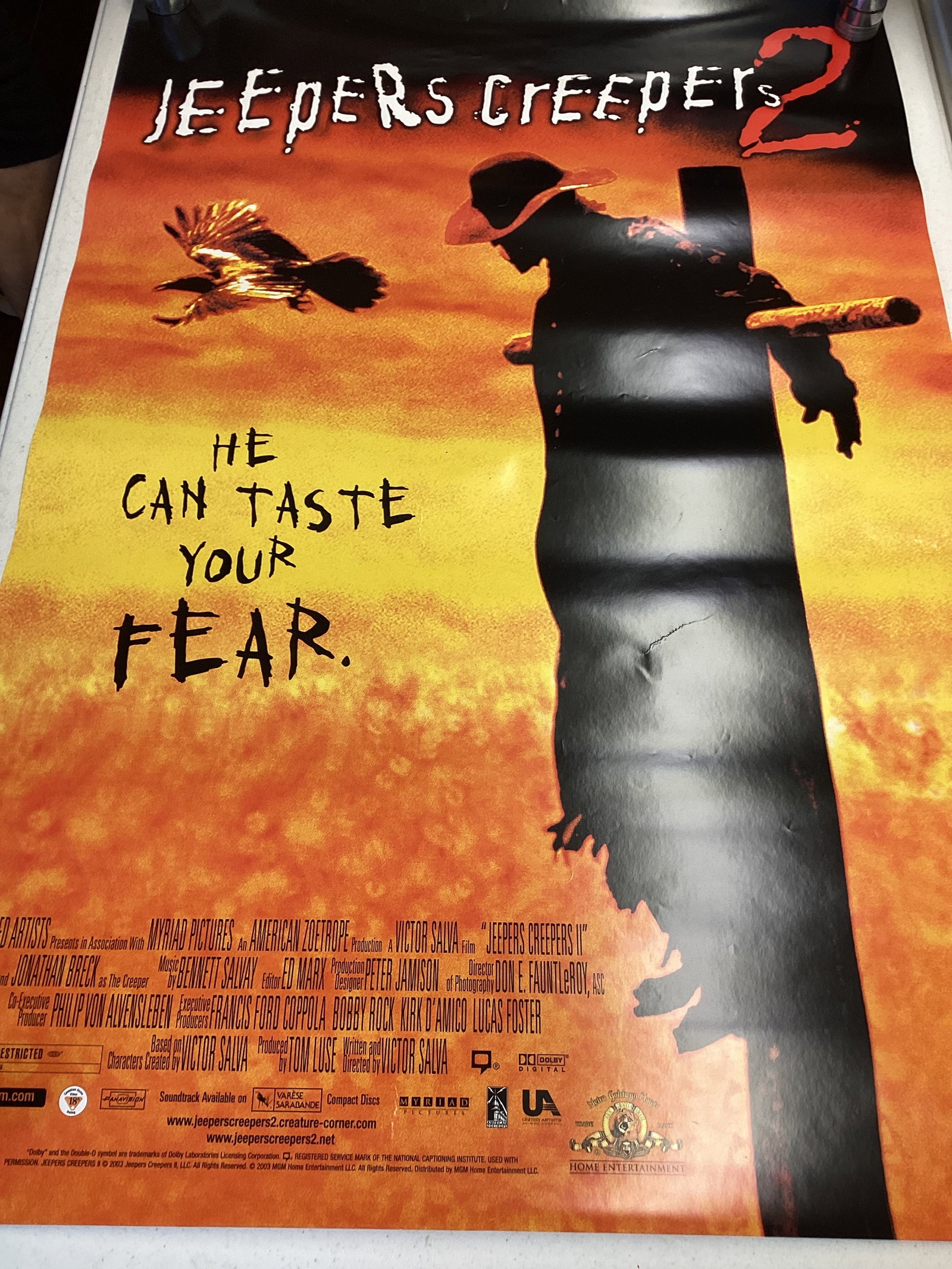 Movie Posters - 5