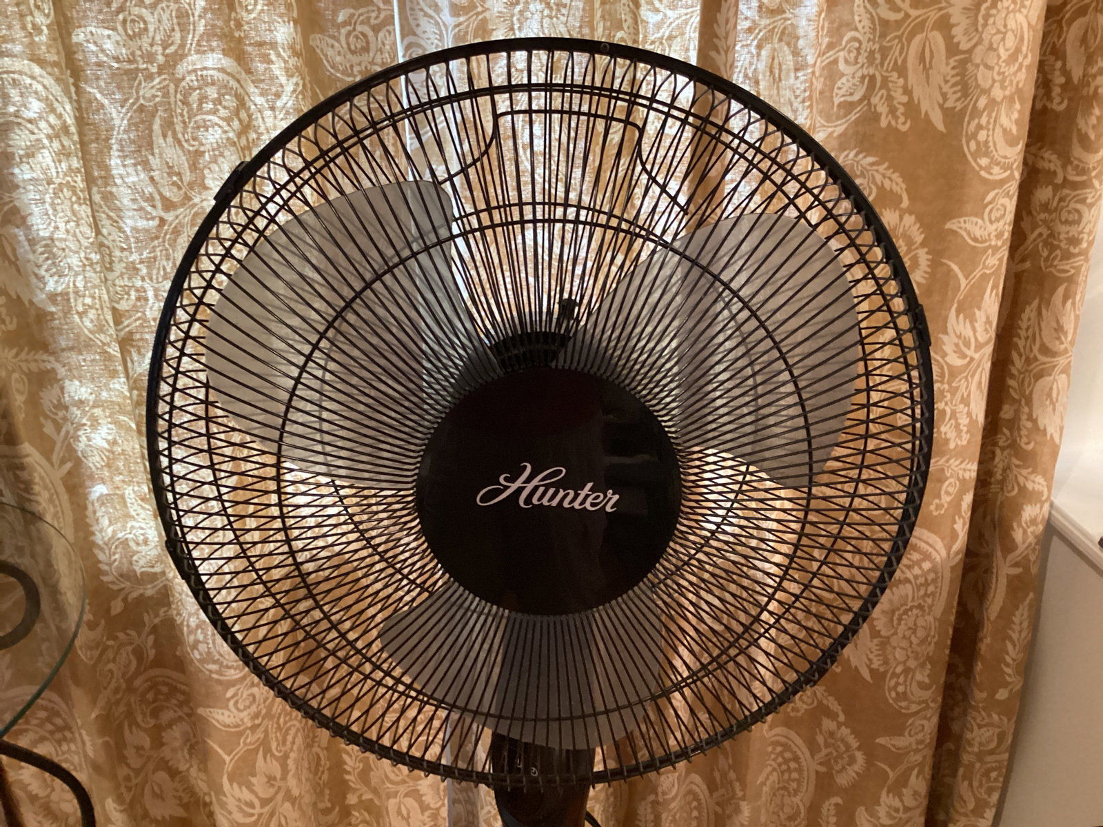Hunter Oscillating Fan - 2
