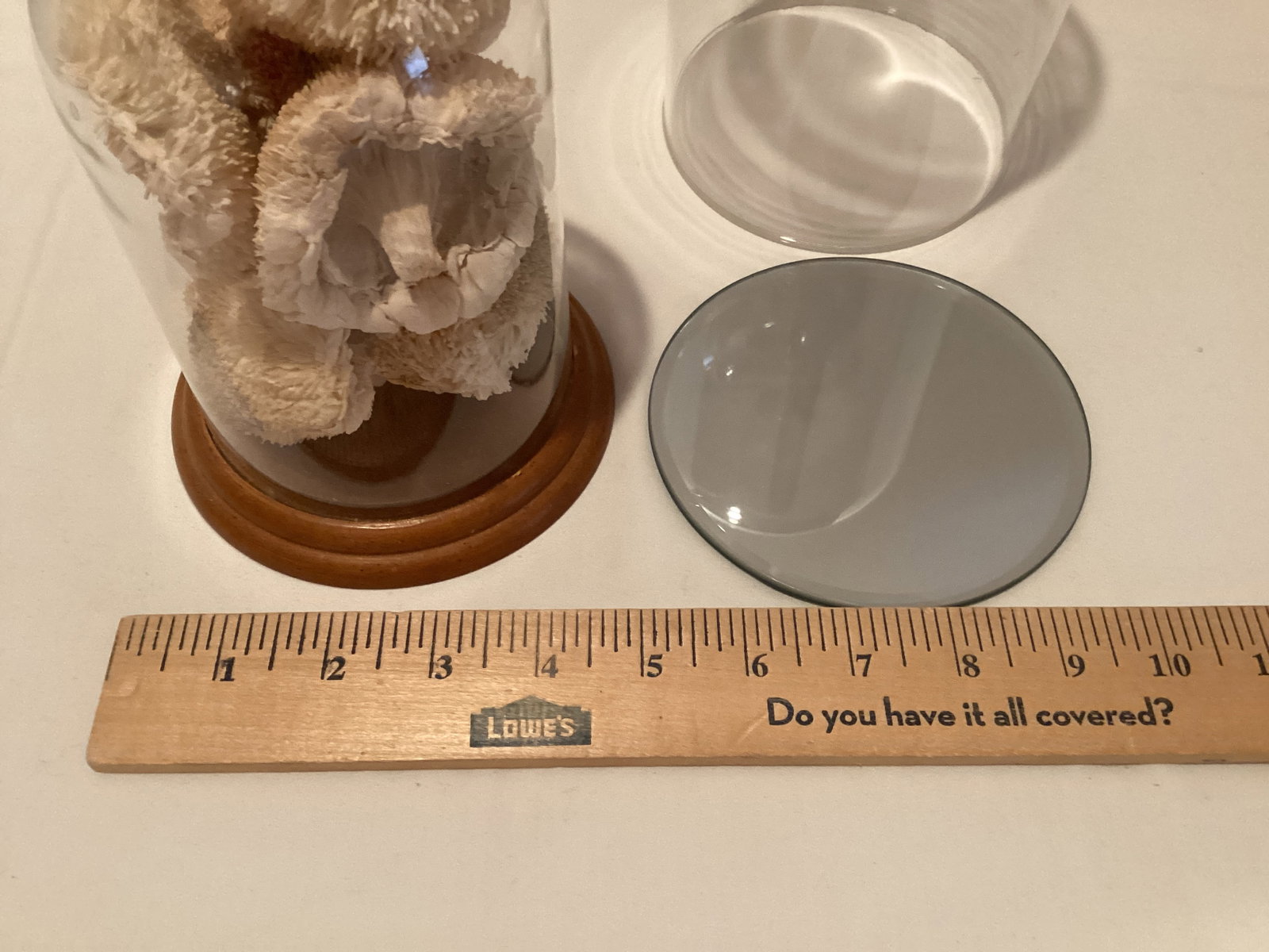 Two Glass Domes - 4