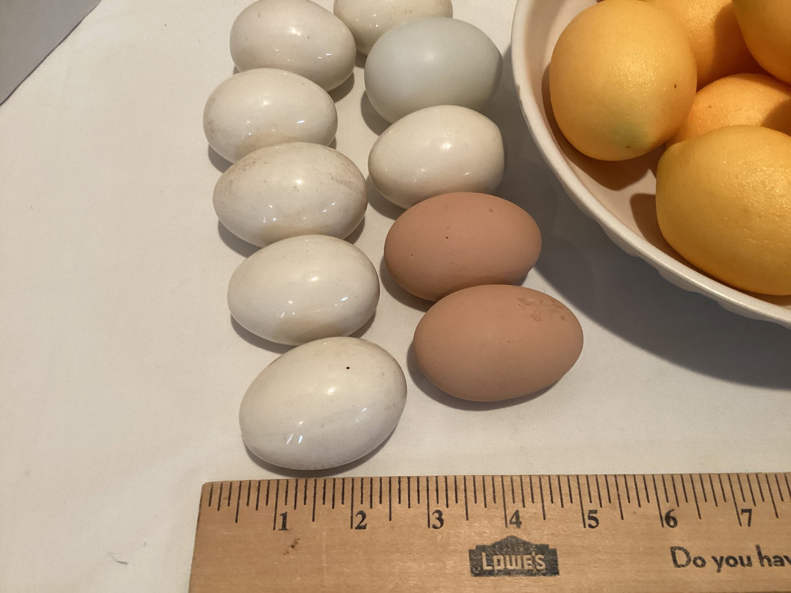 Faux Lemons, Eggs, Apples, and Pears - 2