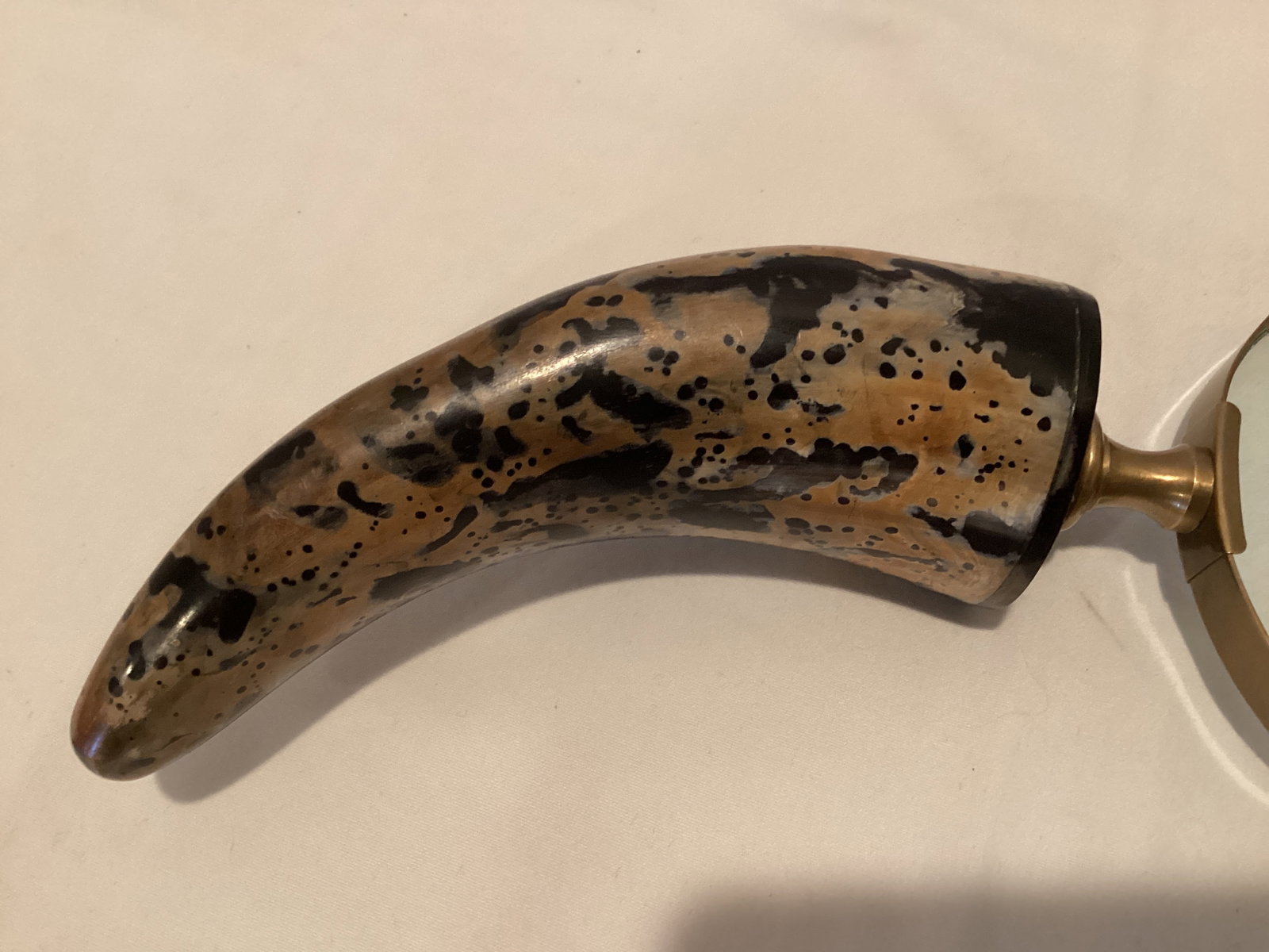 Magnifying Glass with Faux Horn Handle - 3