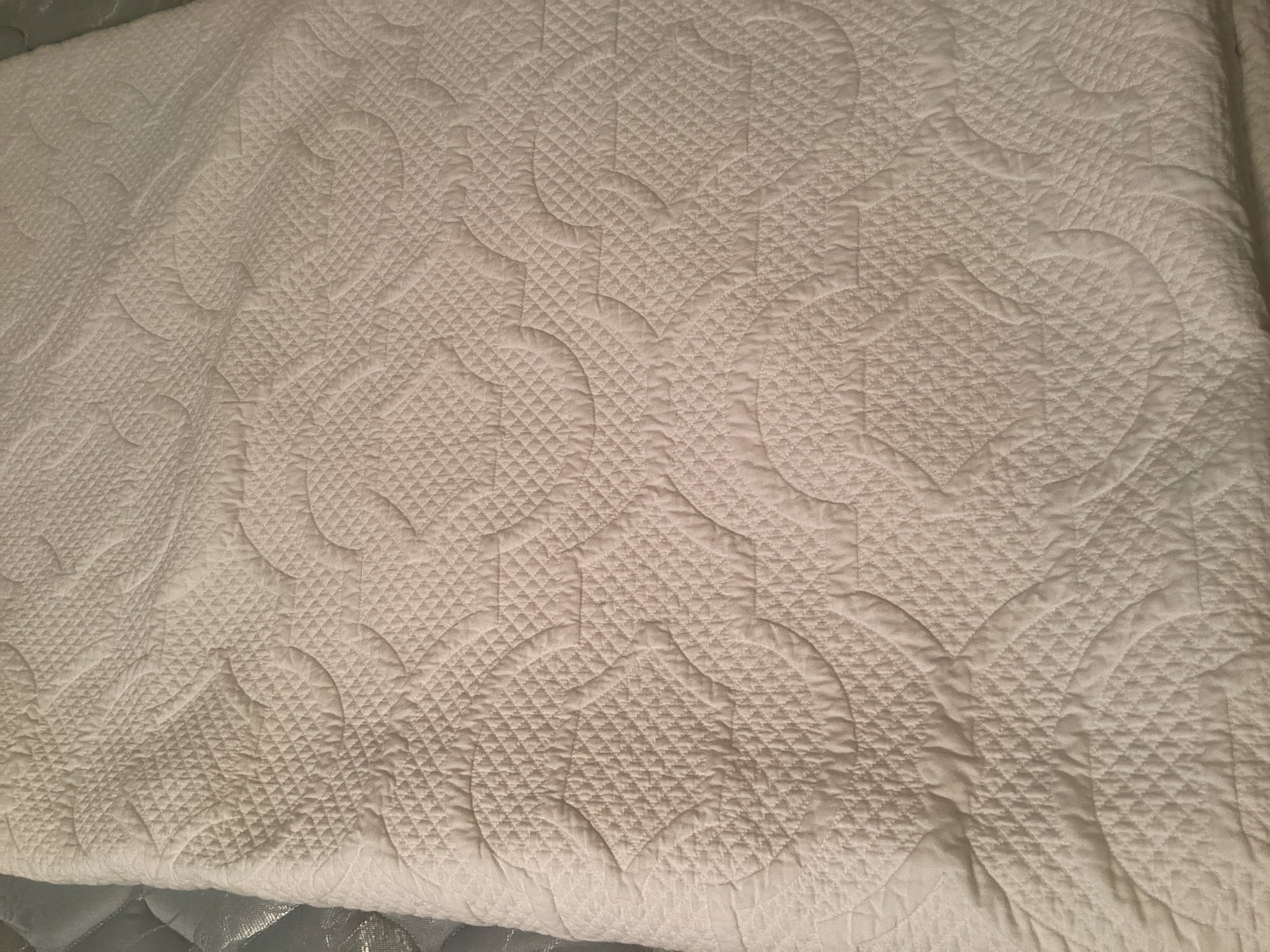 Sarita Handa Cotton 90" x 95" Quilt: .