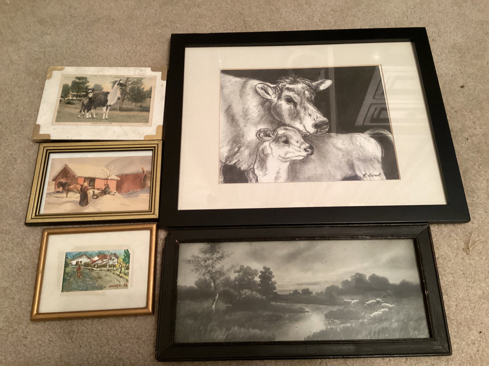 Framed Animal Prints: .