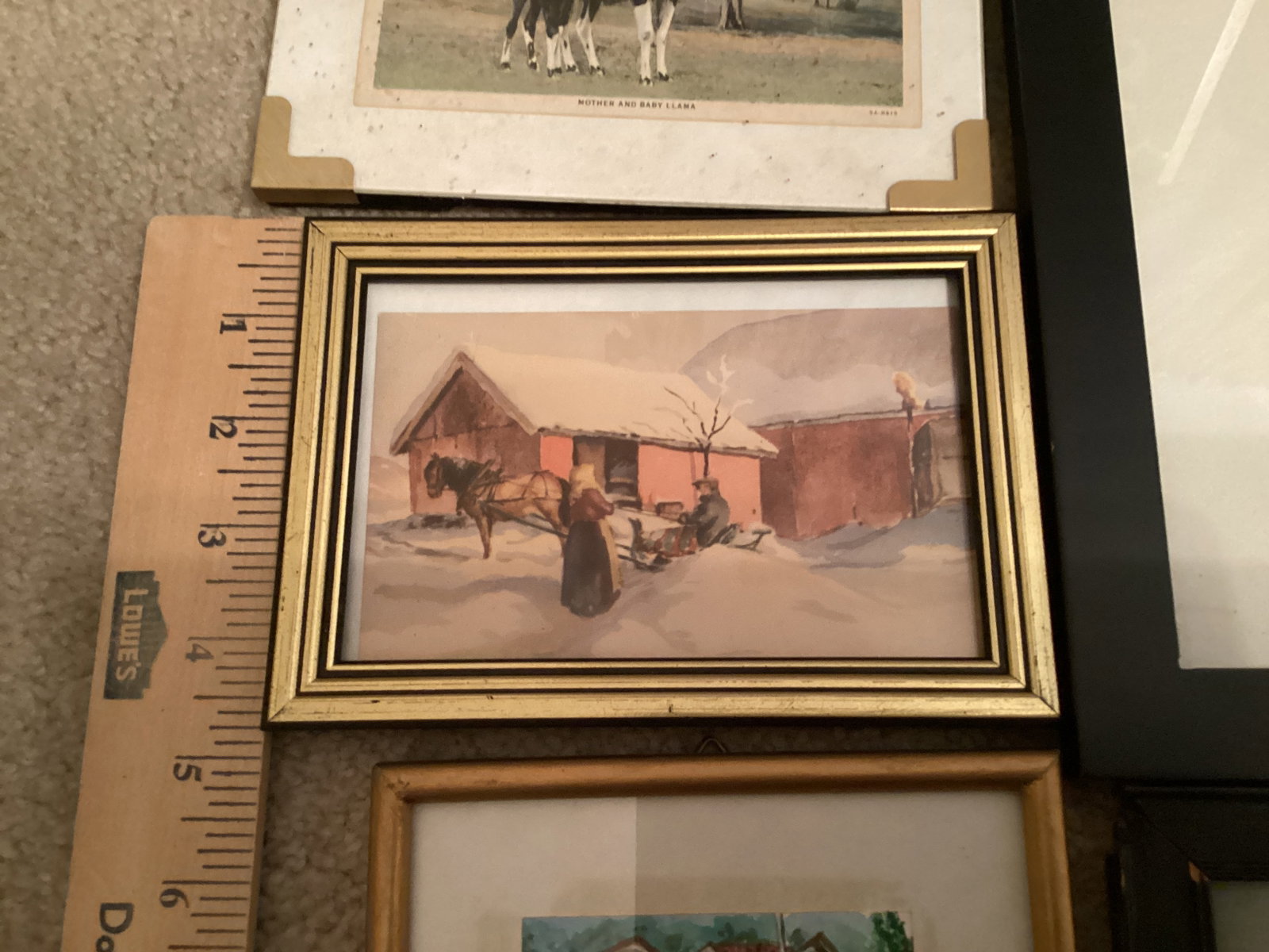 Framed Animal Prints - 3