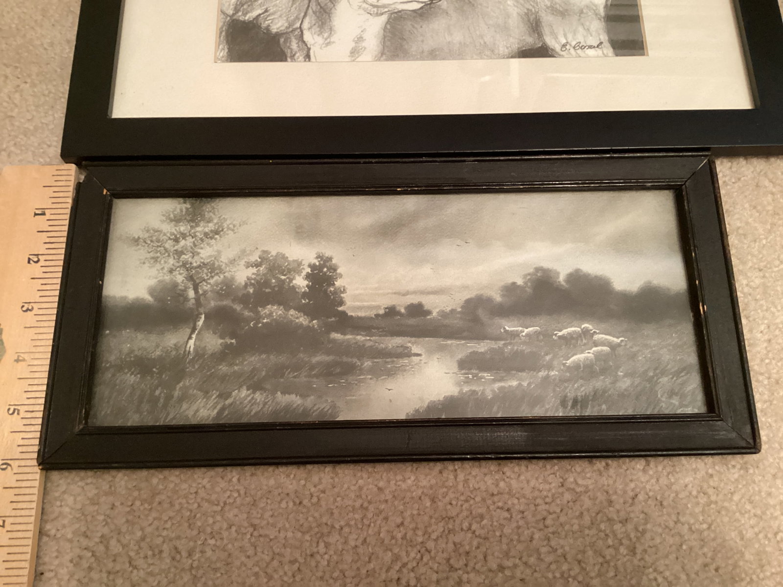 Framed Animal Prints - 5