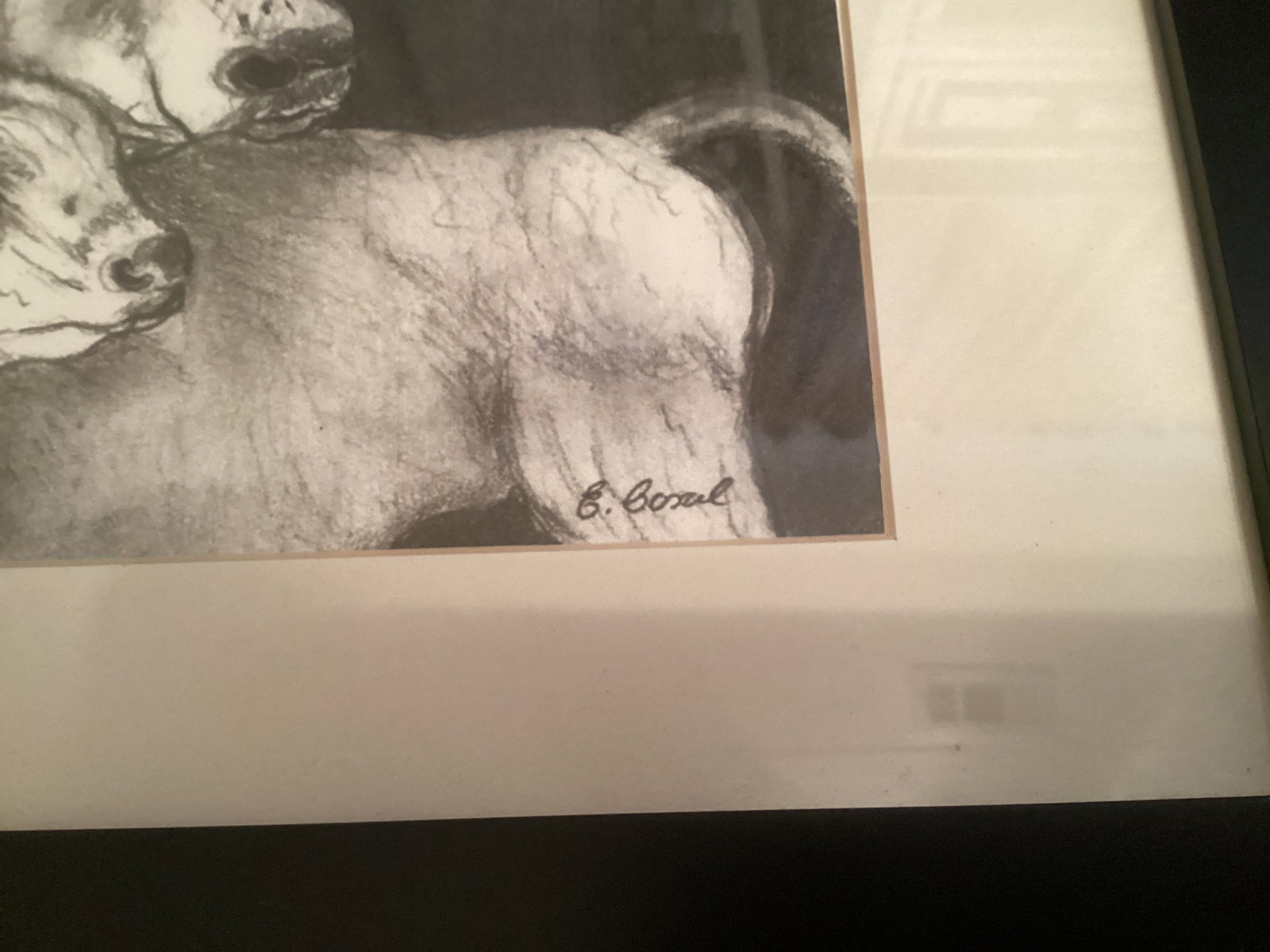 Framed Animal Prints - 7