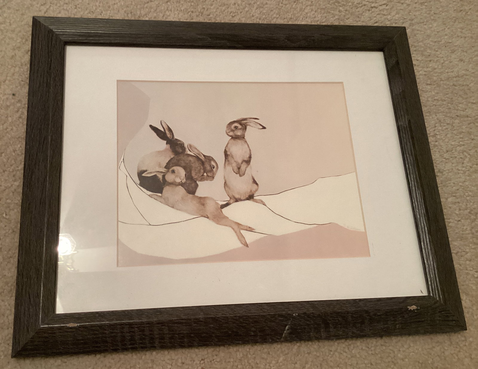 Framed Matted Rabbit Print: 16 1/2" x 13 1/2"