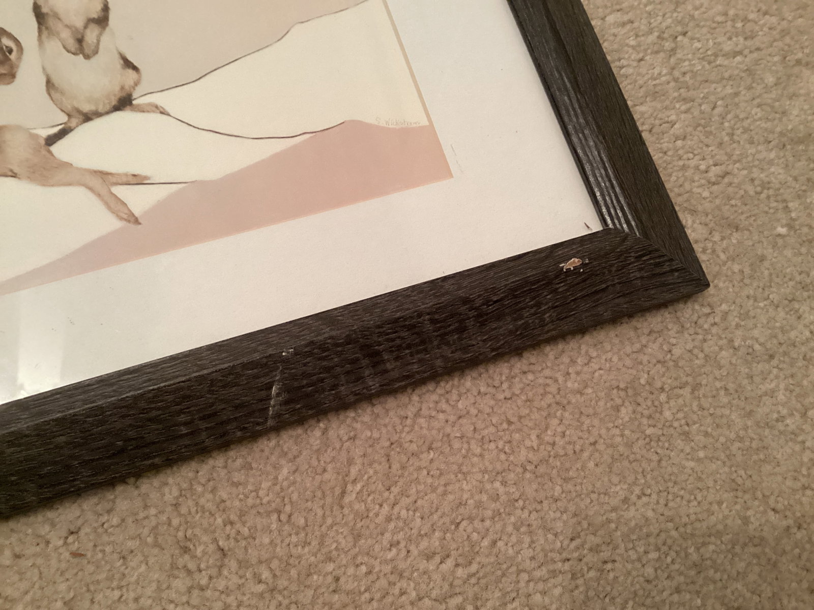 Framed Matted Rabbit Print - 3
