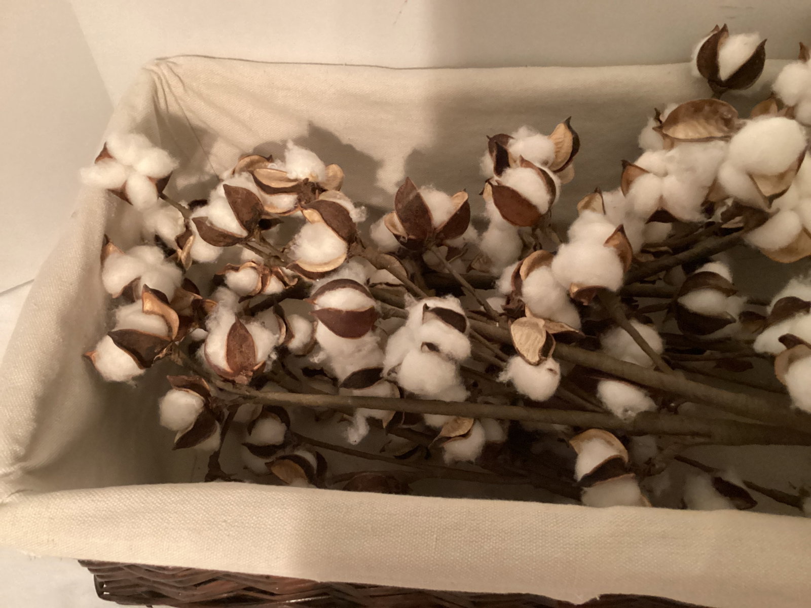 Cotton in Basket - 2
