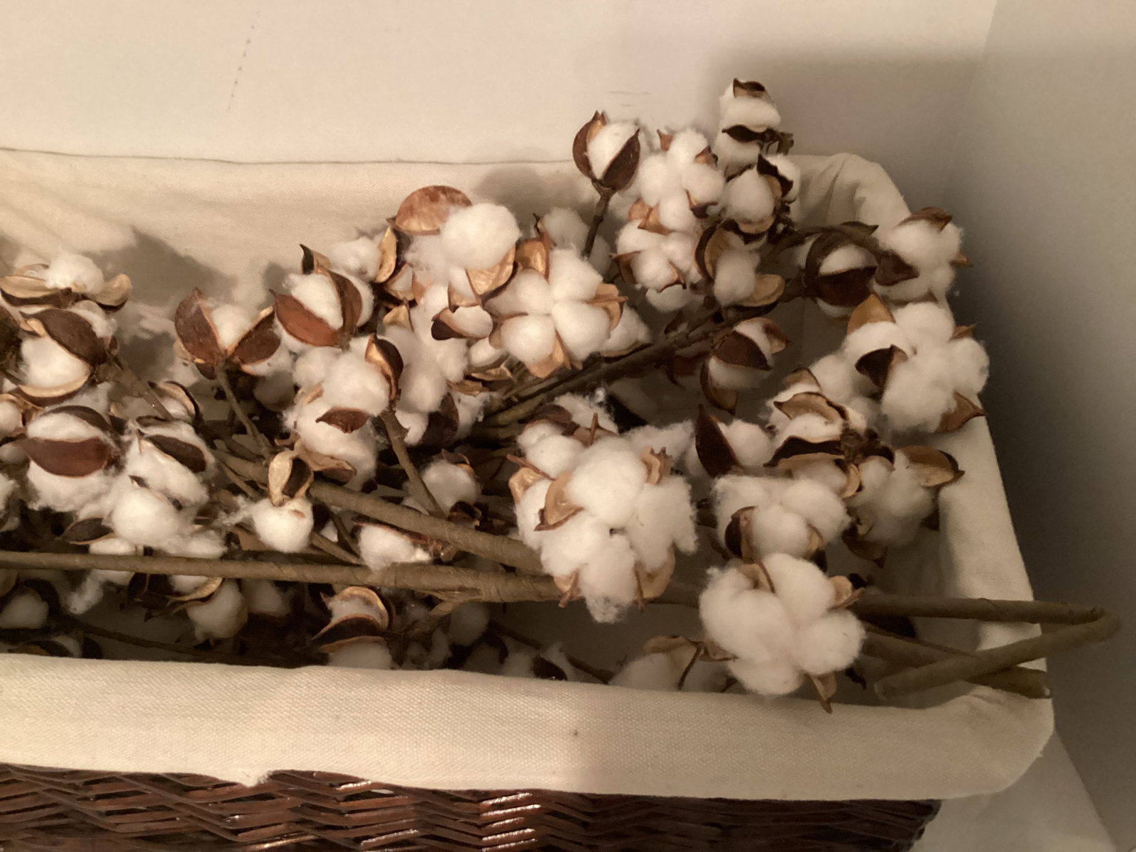Cotton in Basket - 3