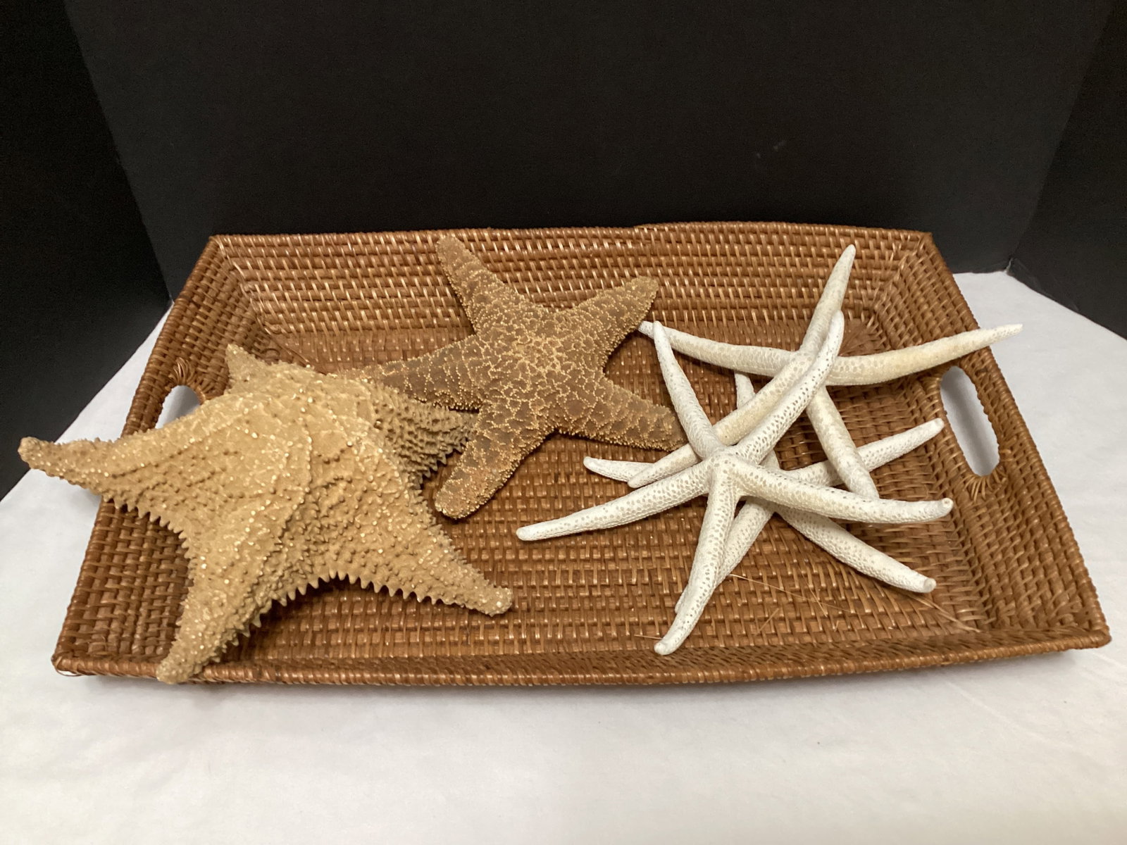 Five Large Starfish: .