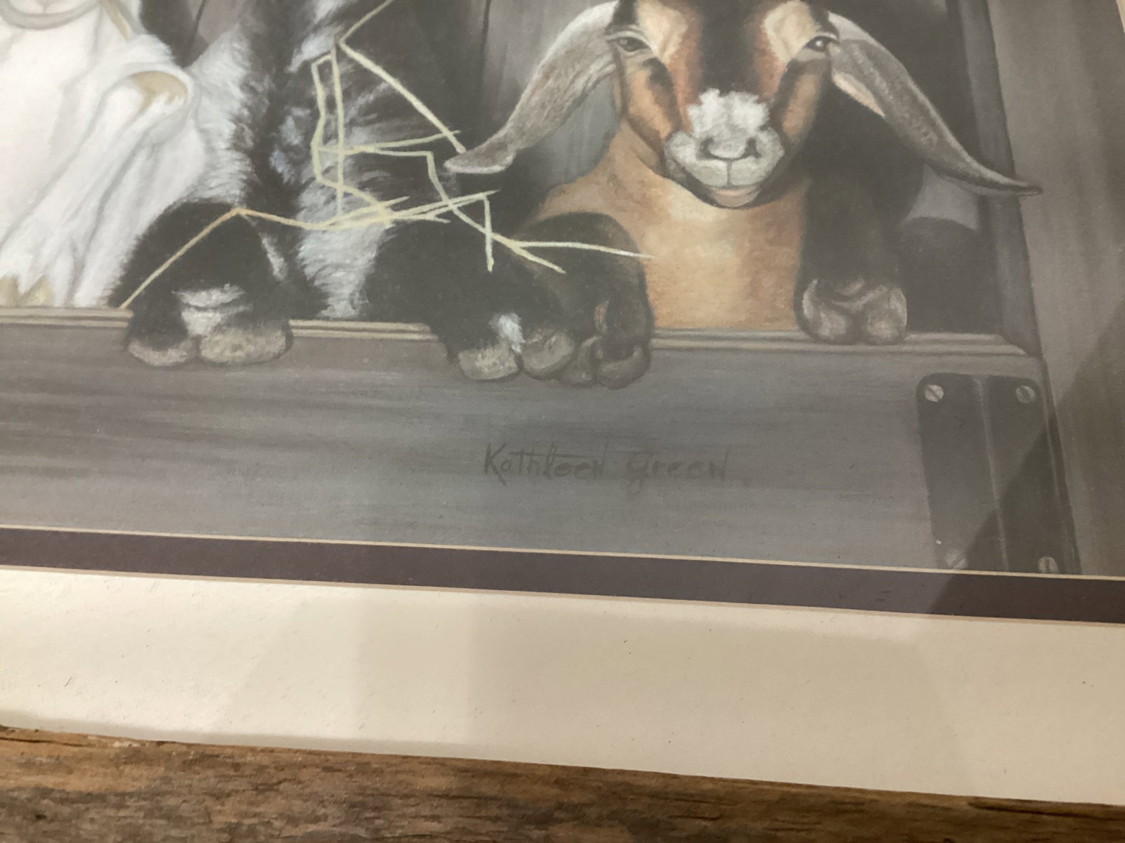 Framed, Matted, Signed Kathleen Green 45/600 Goat Print - 3