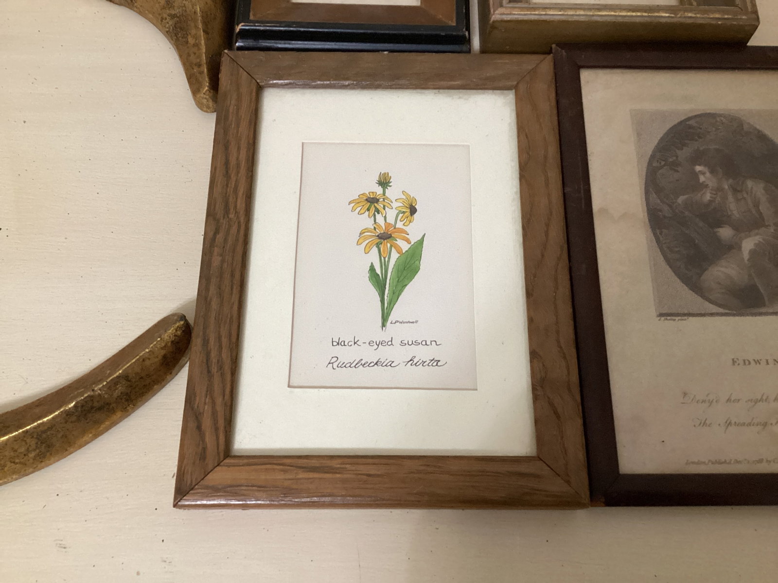 Small Framed Prints - 6