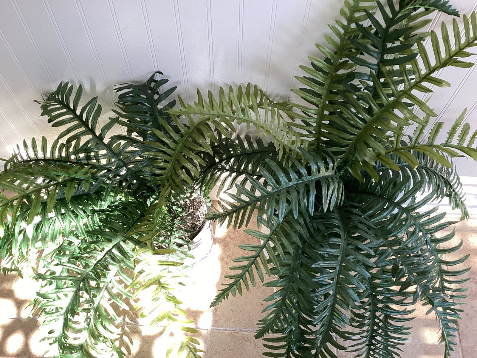 Two Faux Plants - 4