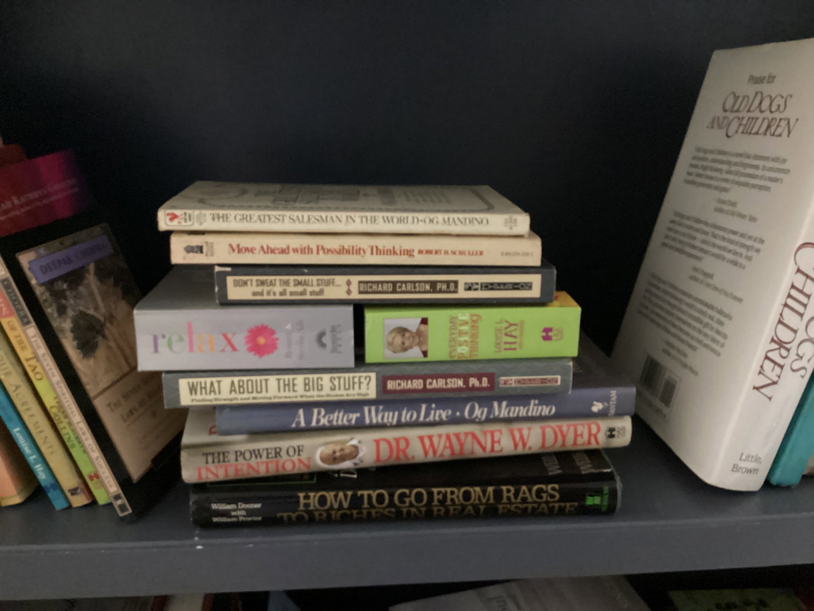 Shelf Lot of Books - 10