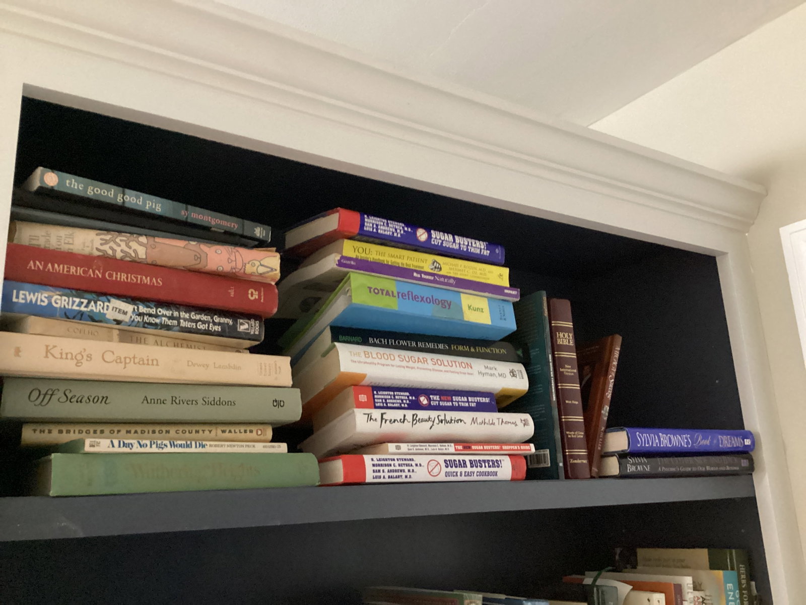 Shelf Lot of Books - 2