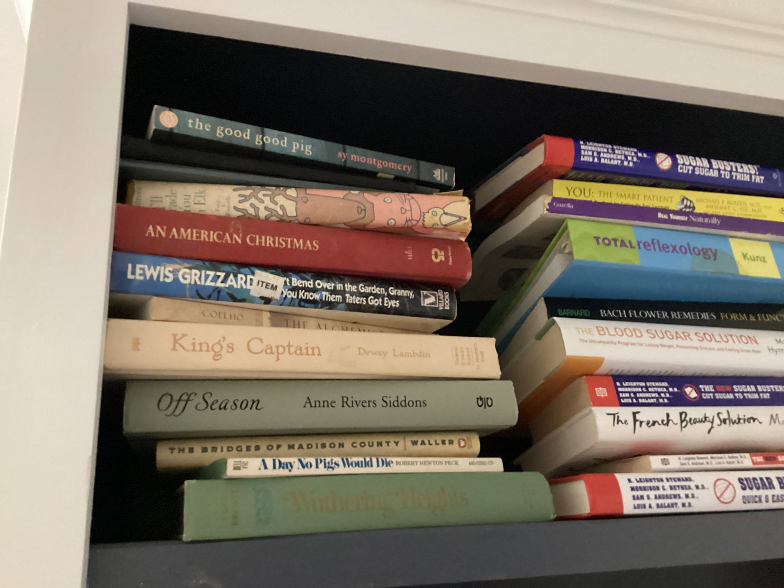 Shelf Lot of Books - 3