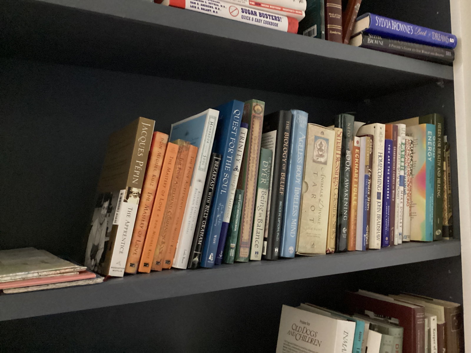 Shelf Lot of Books - 5