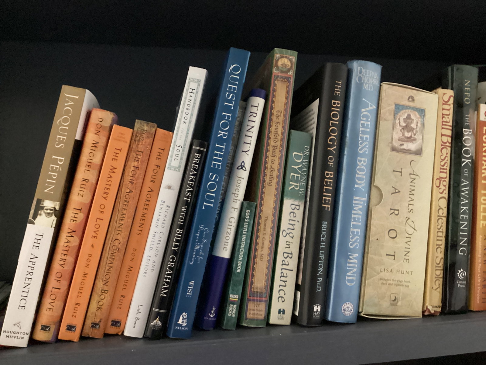 Shelf Lot of Books - 6