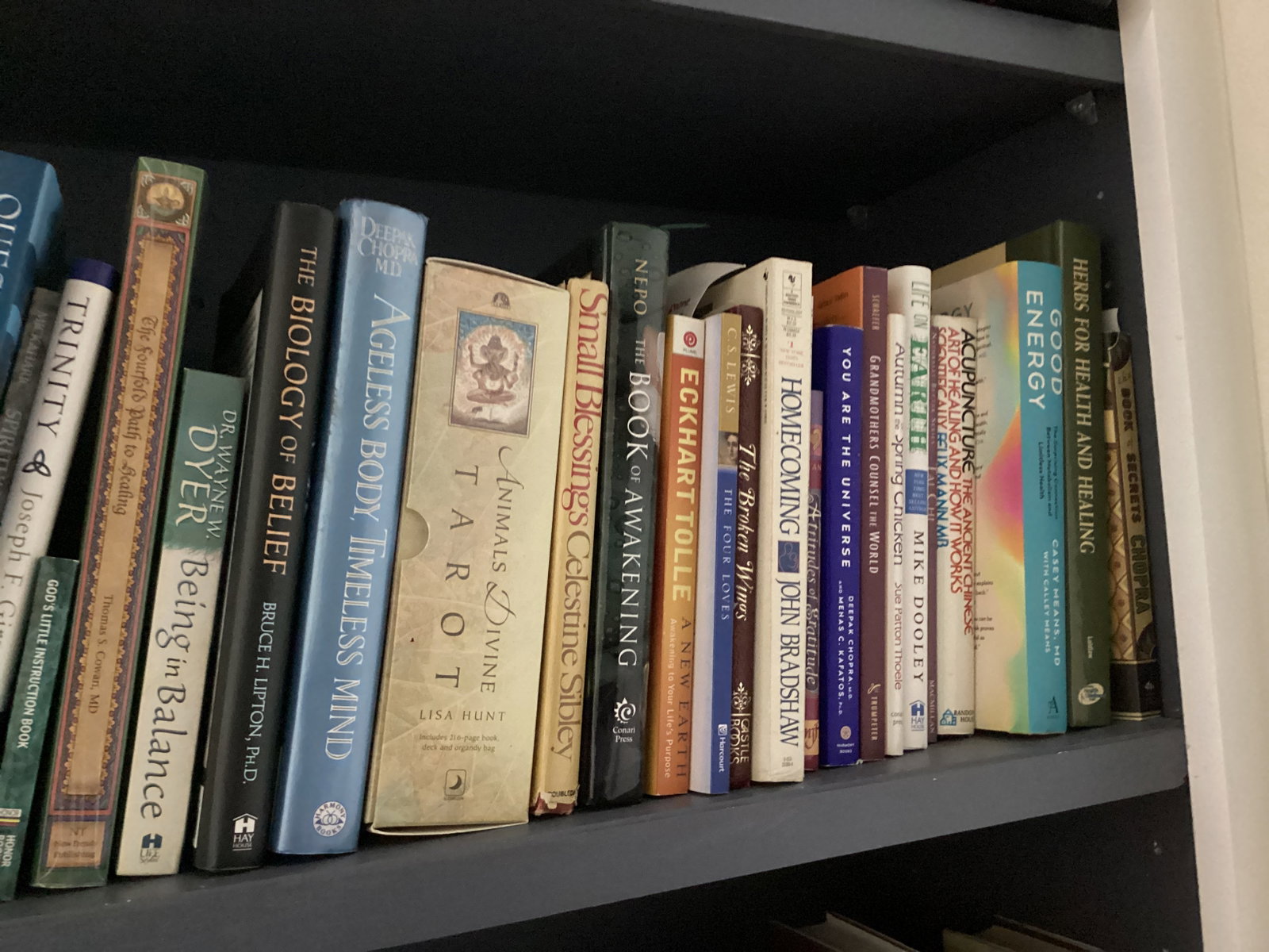 Shelf Lot of Books - 7
