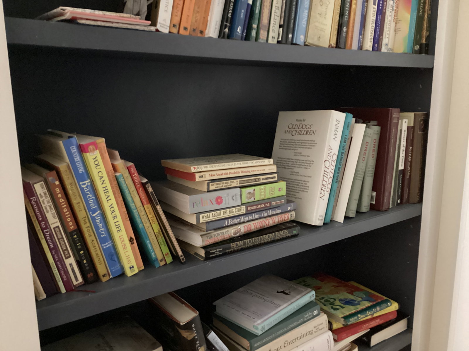 Shelf Lot of Books - 8