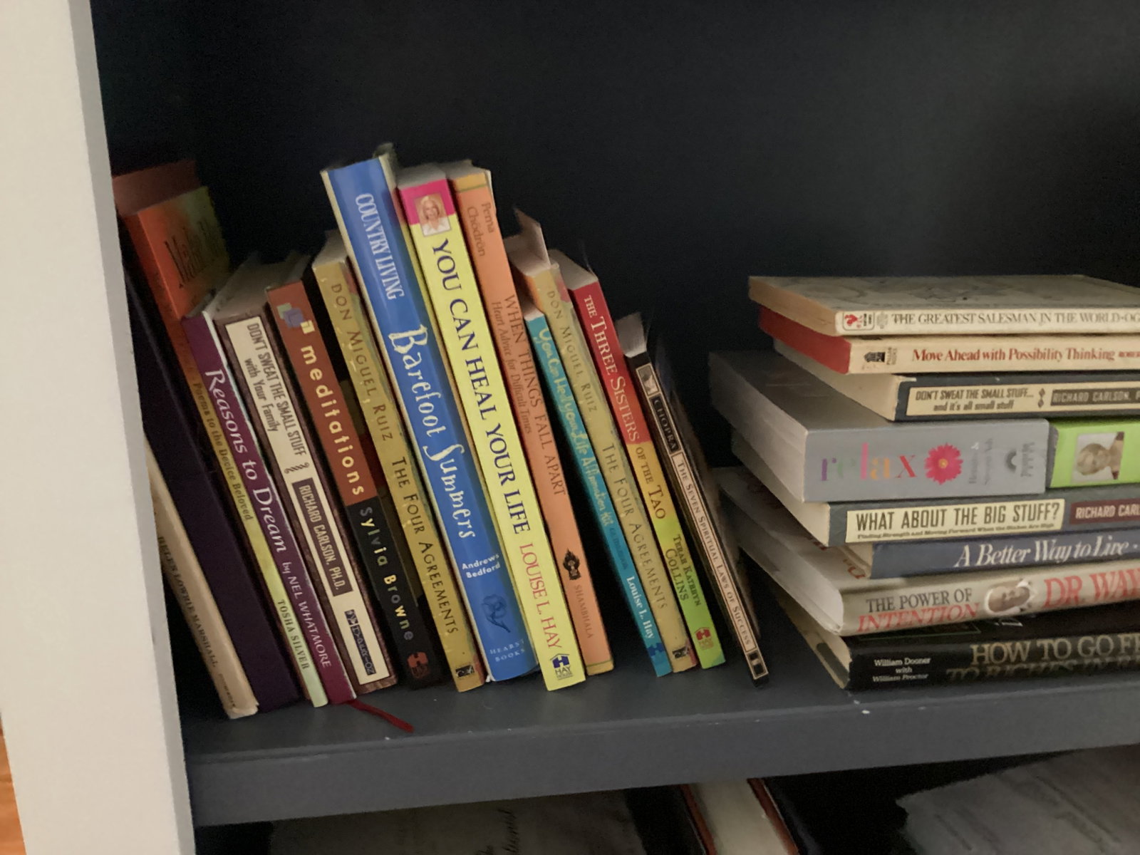 Shelf Lot of Books - 9