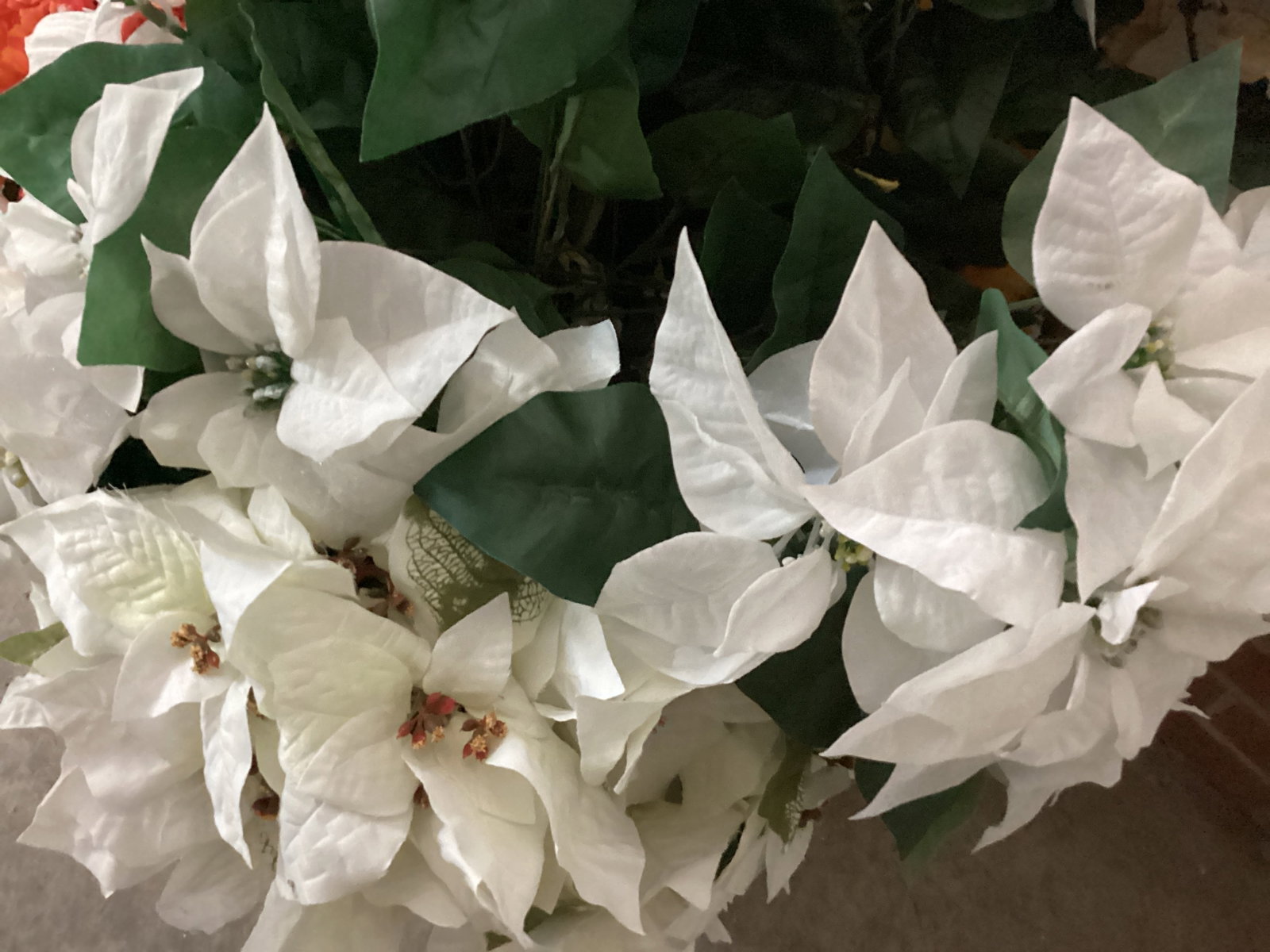 Florals - 5