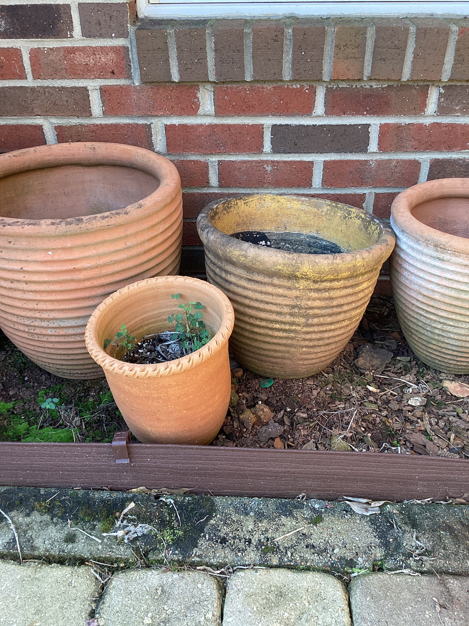 Terra Cotta Pots - 3
