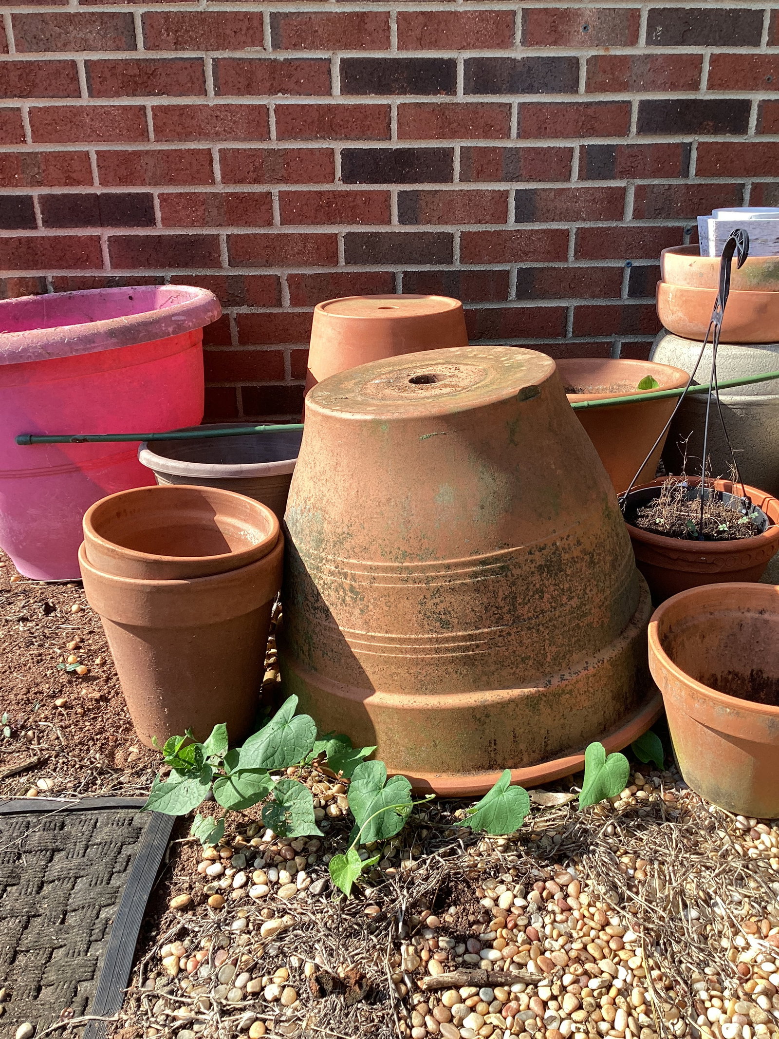 Terra Cotta and Other Pots, Edging, Gardening Items - 3