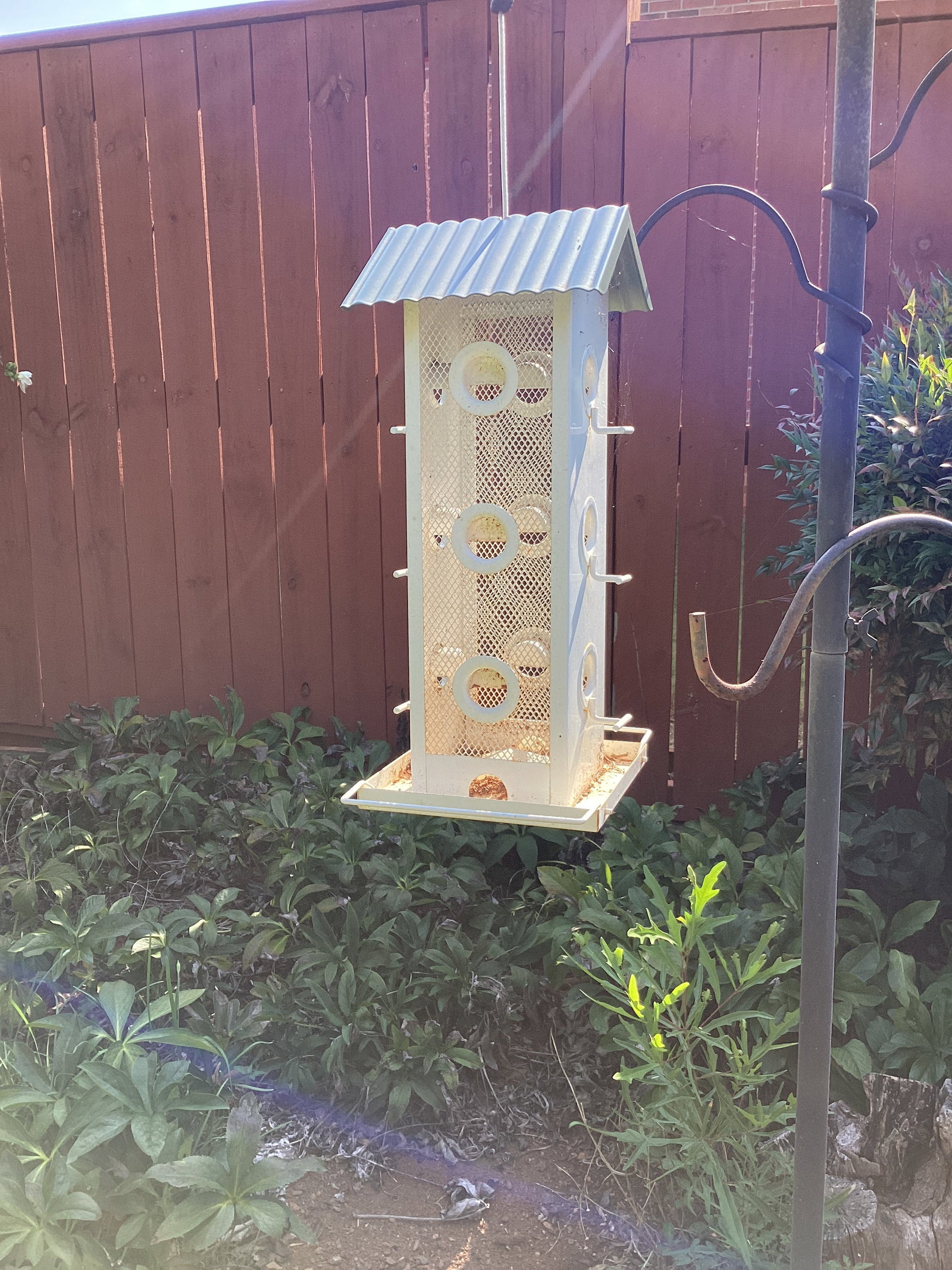 Two Shepherd Hooks and Bird Feeder - 4