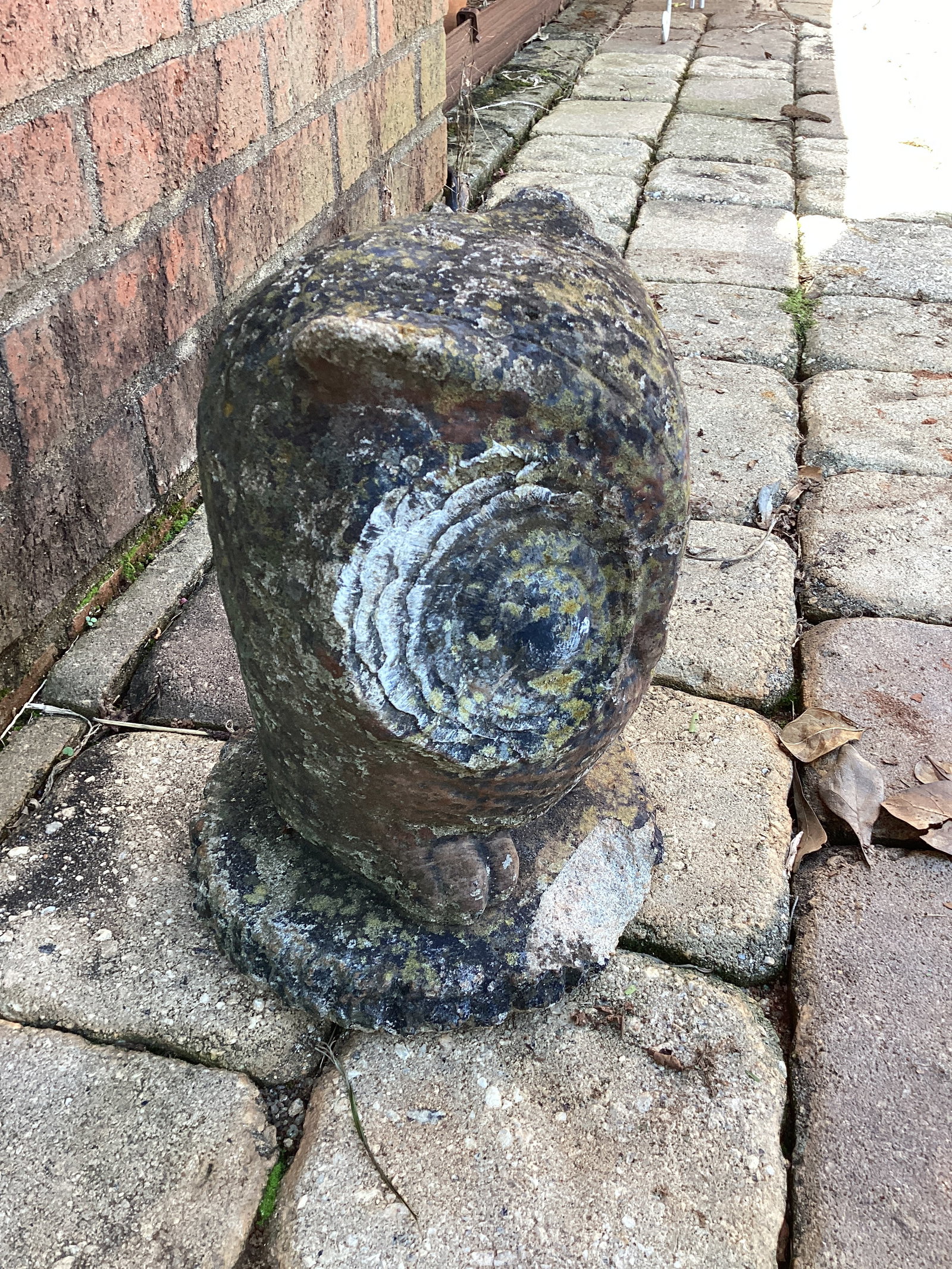 Concrete Owl - 3