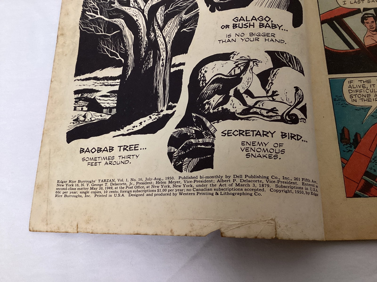 Tarzan 16 Dell Comic Book - 7