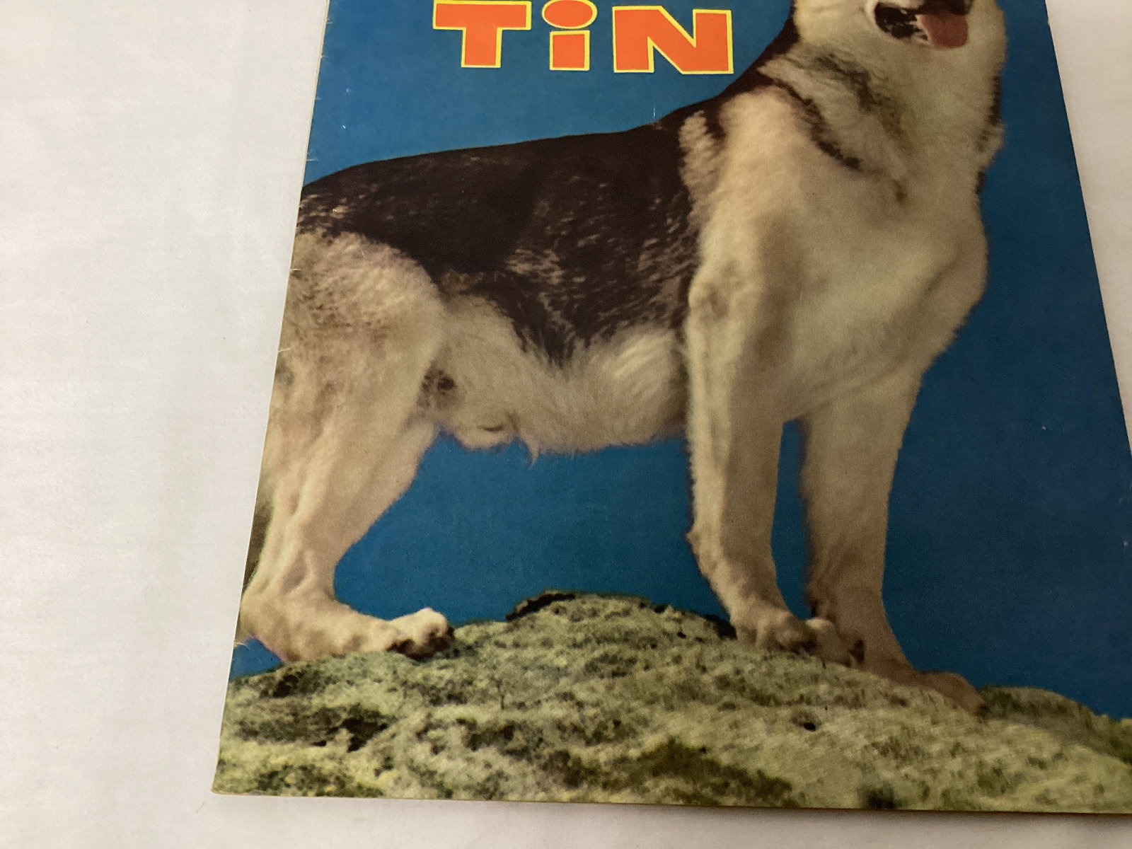 Four Color 476 Dell Rin Tin Tin Comic Book - 4