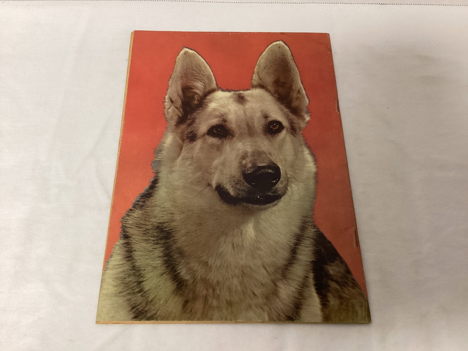 Four Color 476 Dell Rin Tin Tin Comic Book - 8