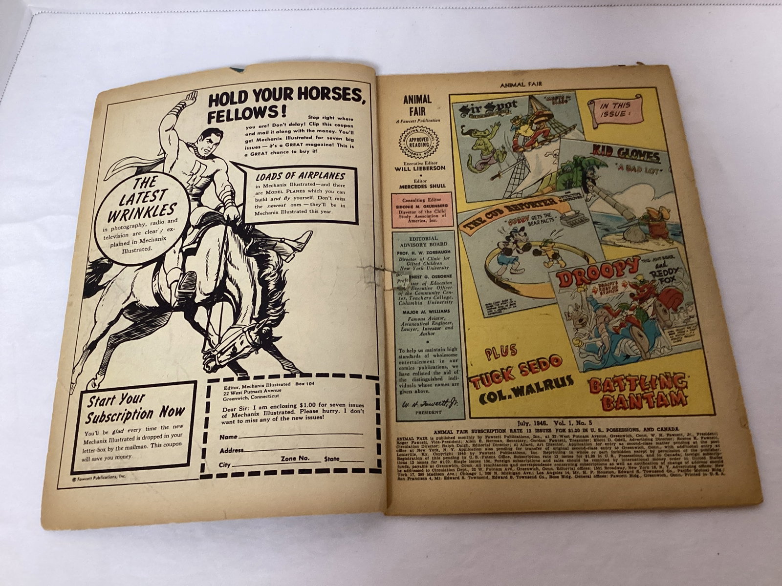 Animal Fair 5 Fawcett Comic Book - 6